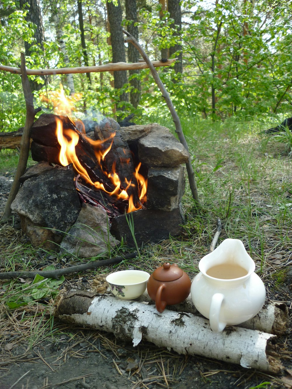 white pitcher beside rocks