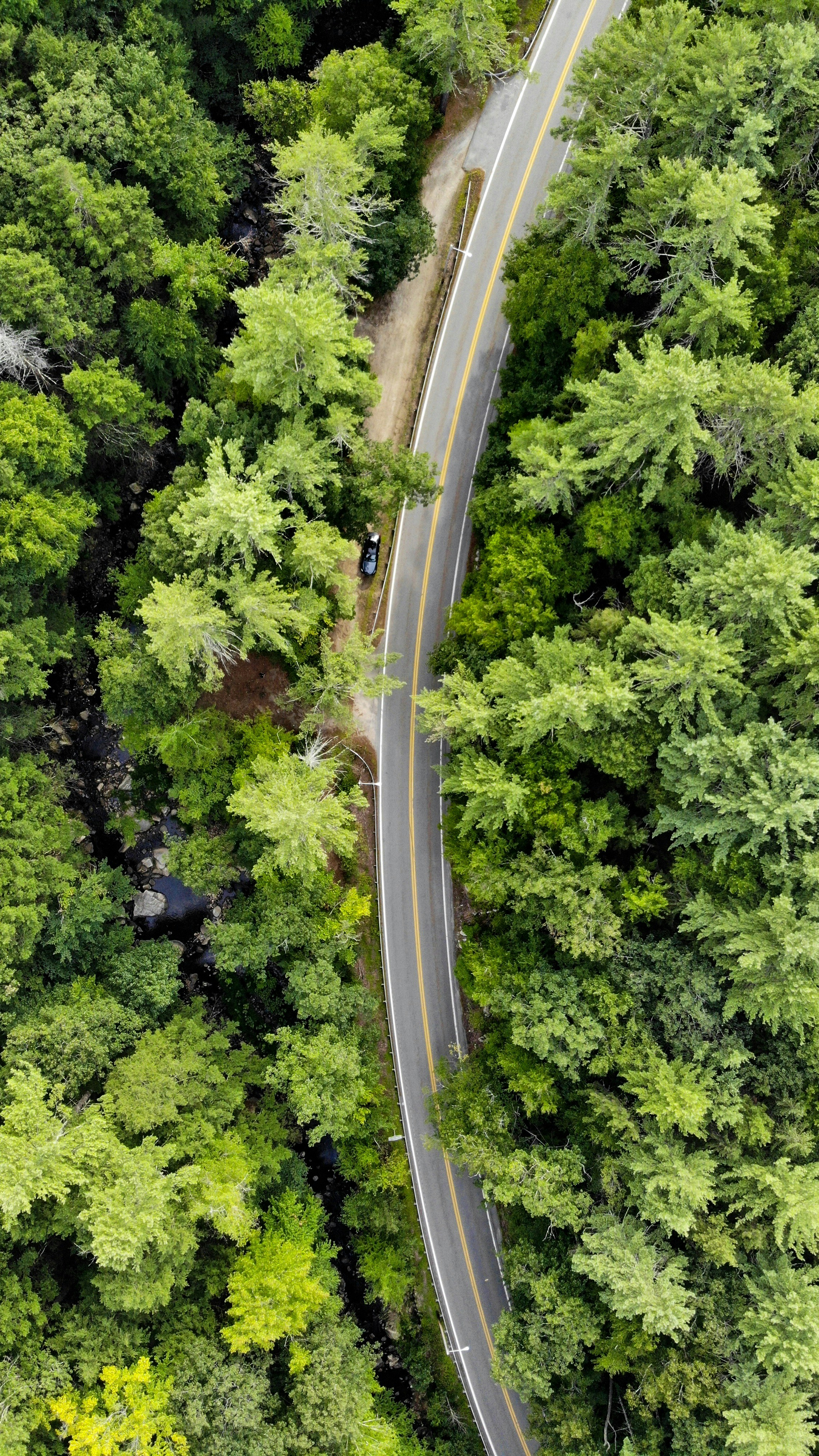 Photo by magnusmachado