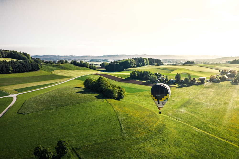 white and green hot air balloon at daytime