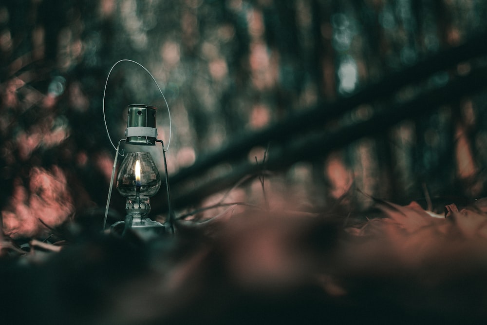 a lantern sitting on the ground in the woods