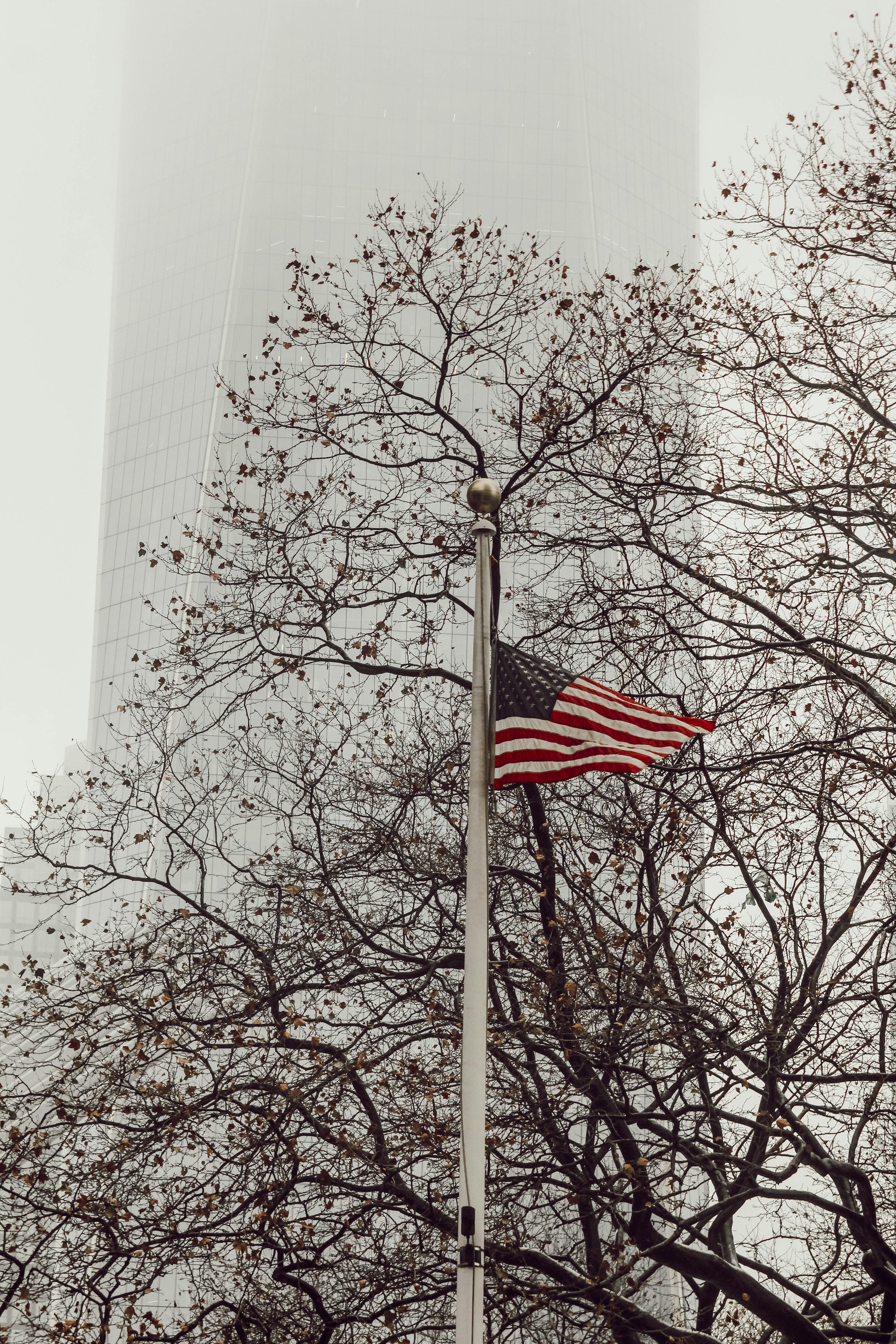 flag of USA near trees during daytime