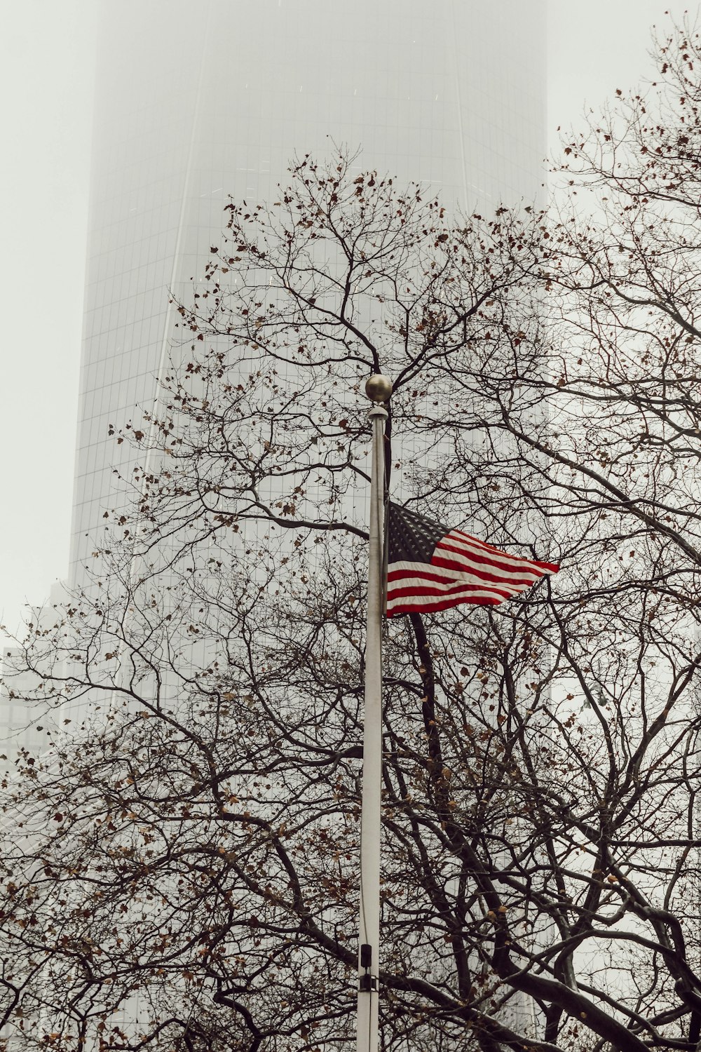 flag of USA near trees during daytime
