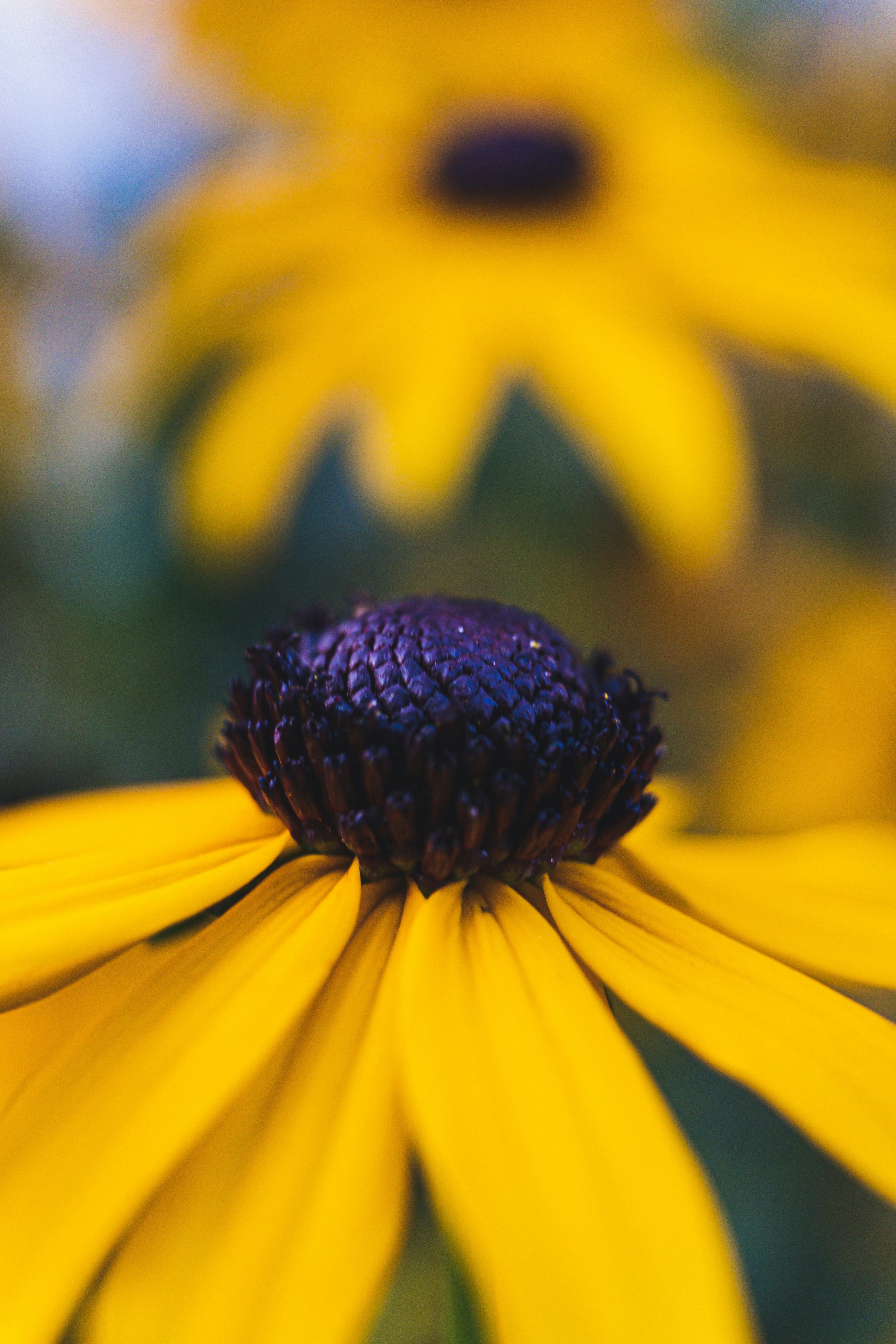 Photo by moritz_photography