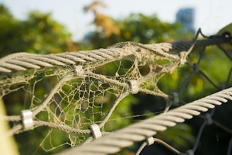 A close-up view of intertwined metal cables covered with a delicate, intricate web. The background shows blurred greenery, suggesting an outdoor setting.
