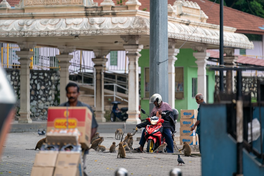 person sitting on motorcycle