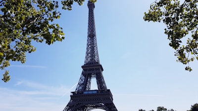 The Eiffel Tower framed by blossoming spring trees under a clear blue sky.