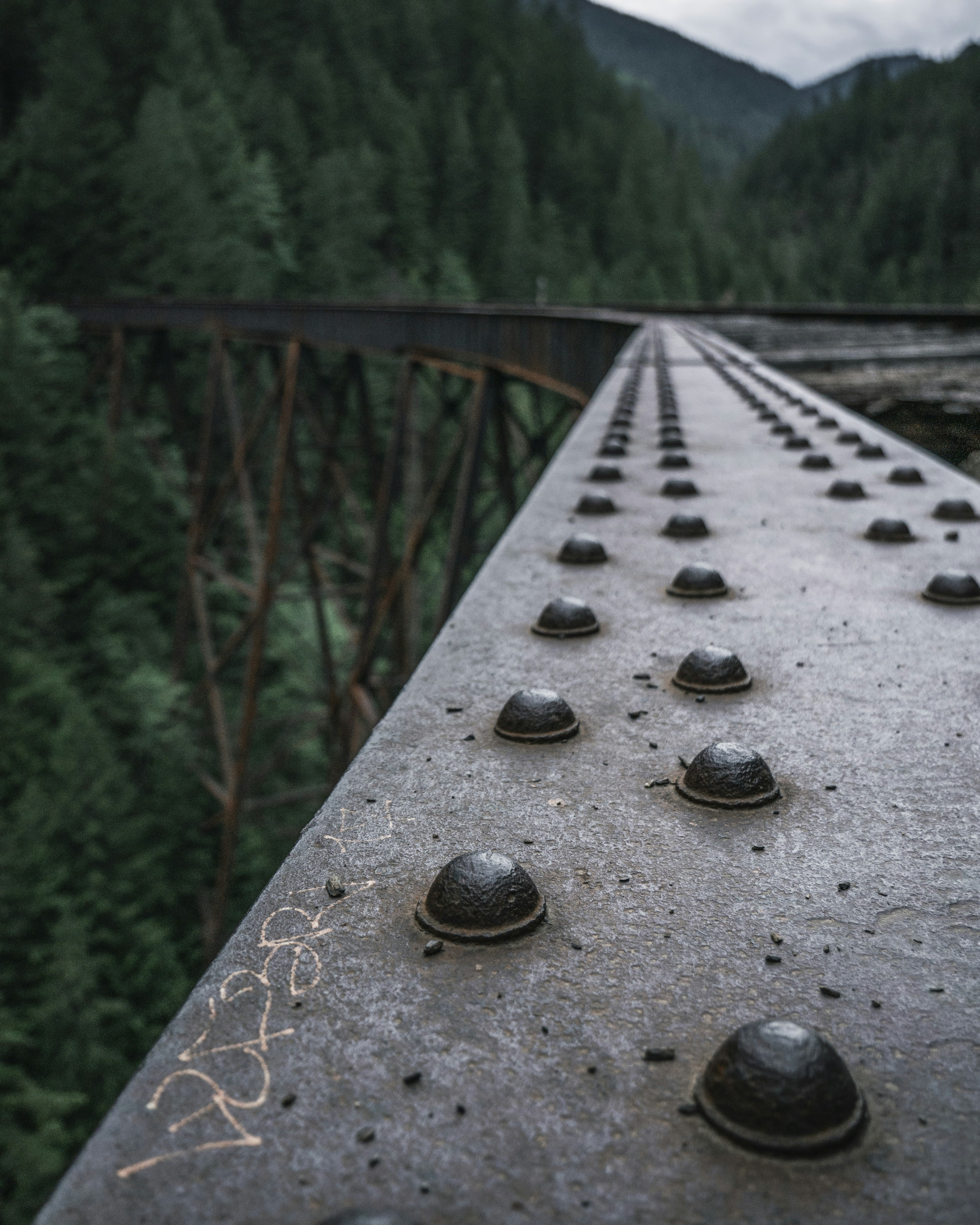 Photo by yannallegre