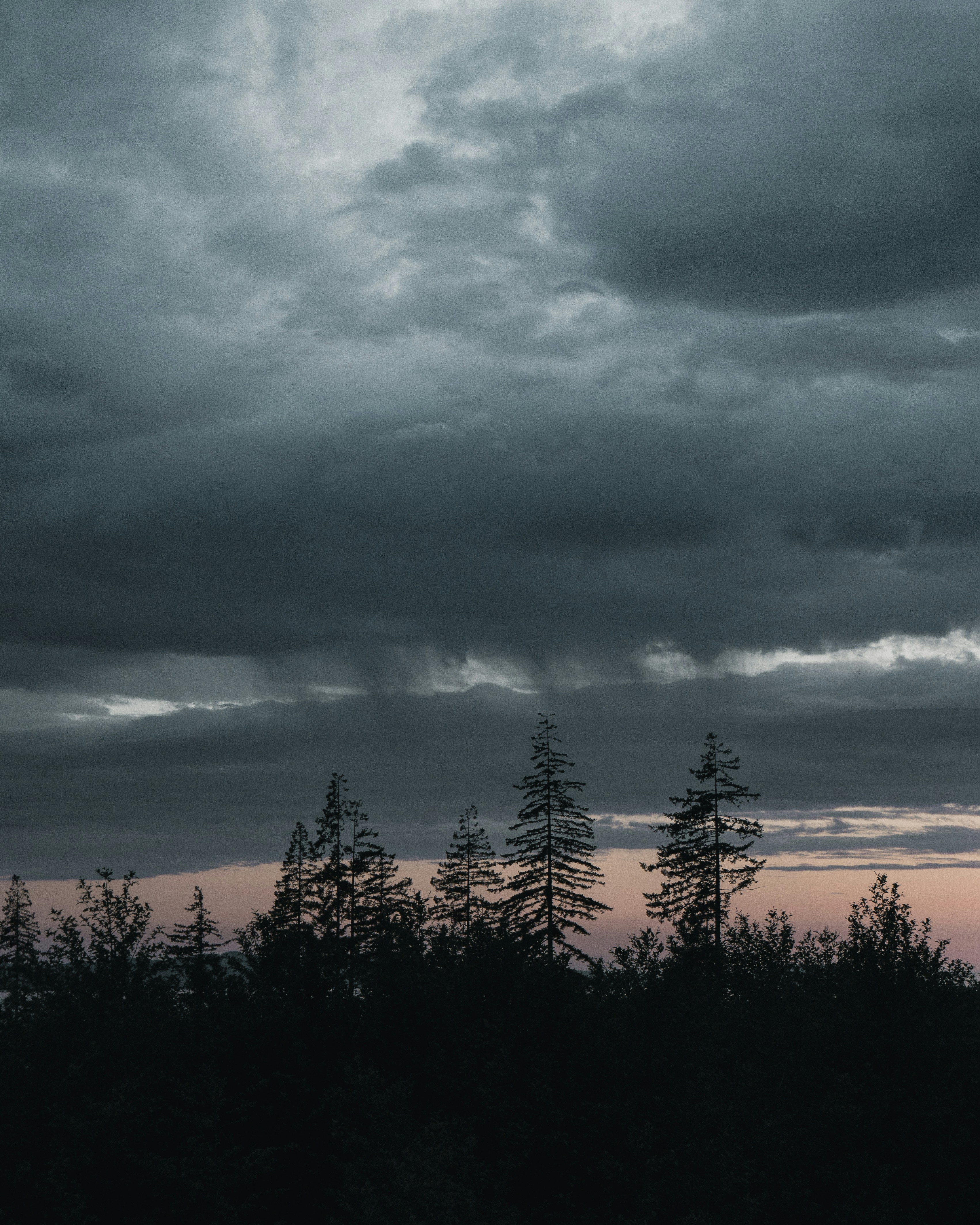 Photo by yannallegre