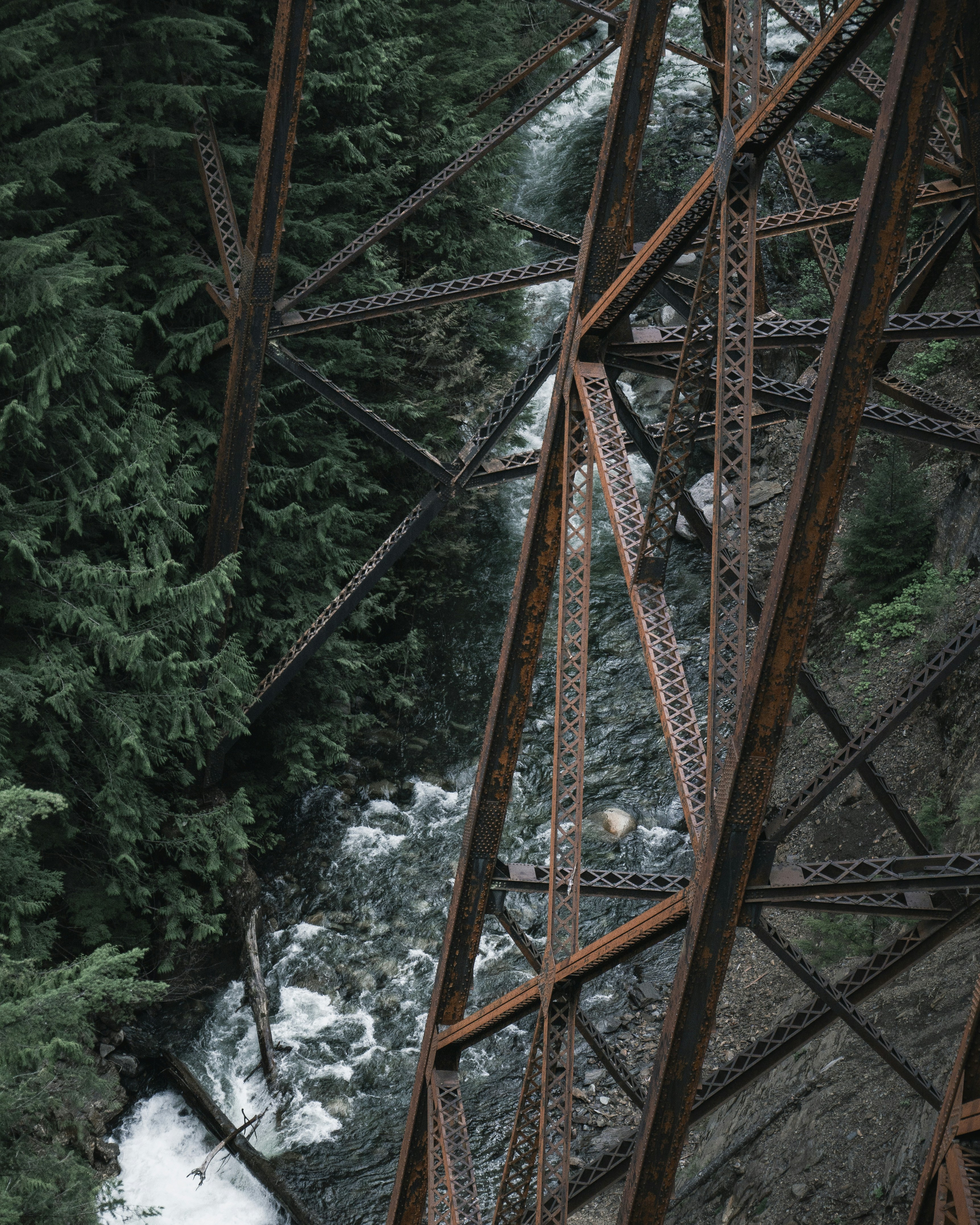 Photo by yannallegre