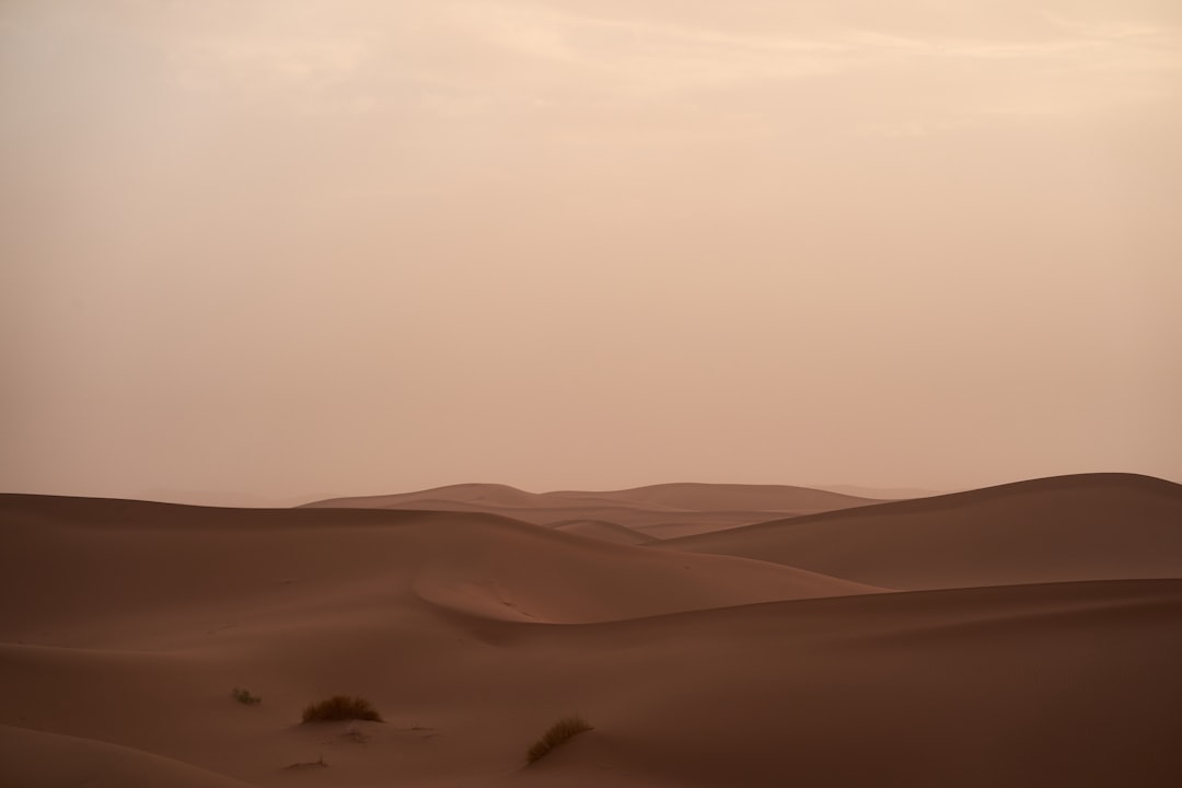 desert under brown sky