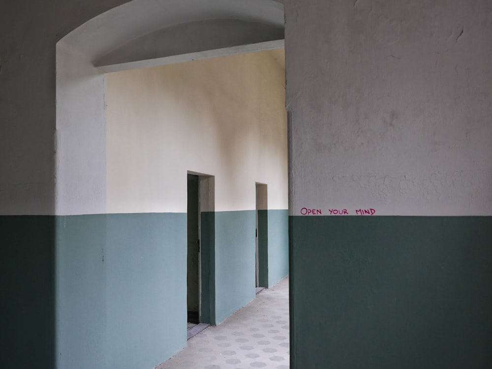 흰색과 녹색 콘크리트 벽