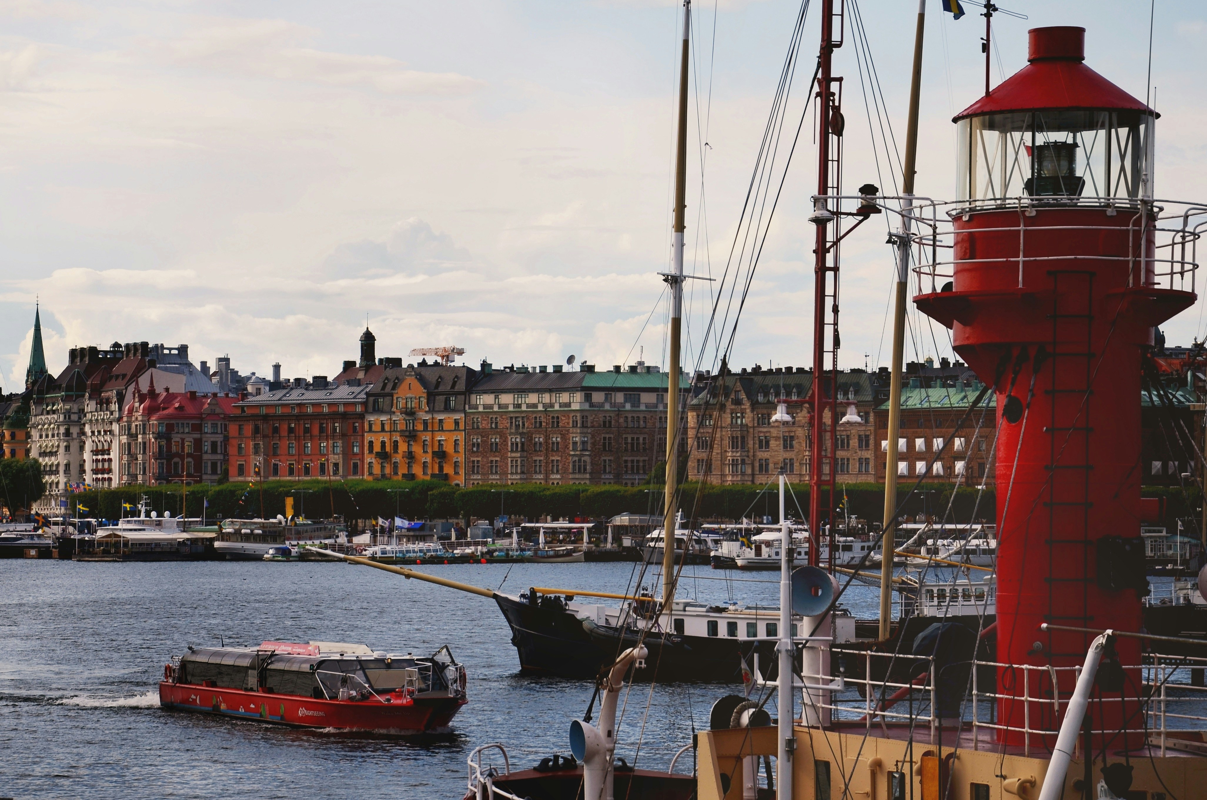 Image by Emma Trevisan via Unsplash