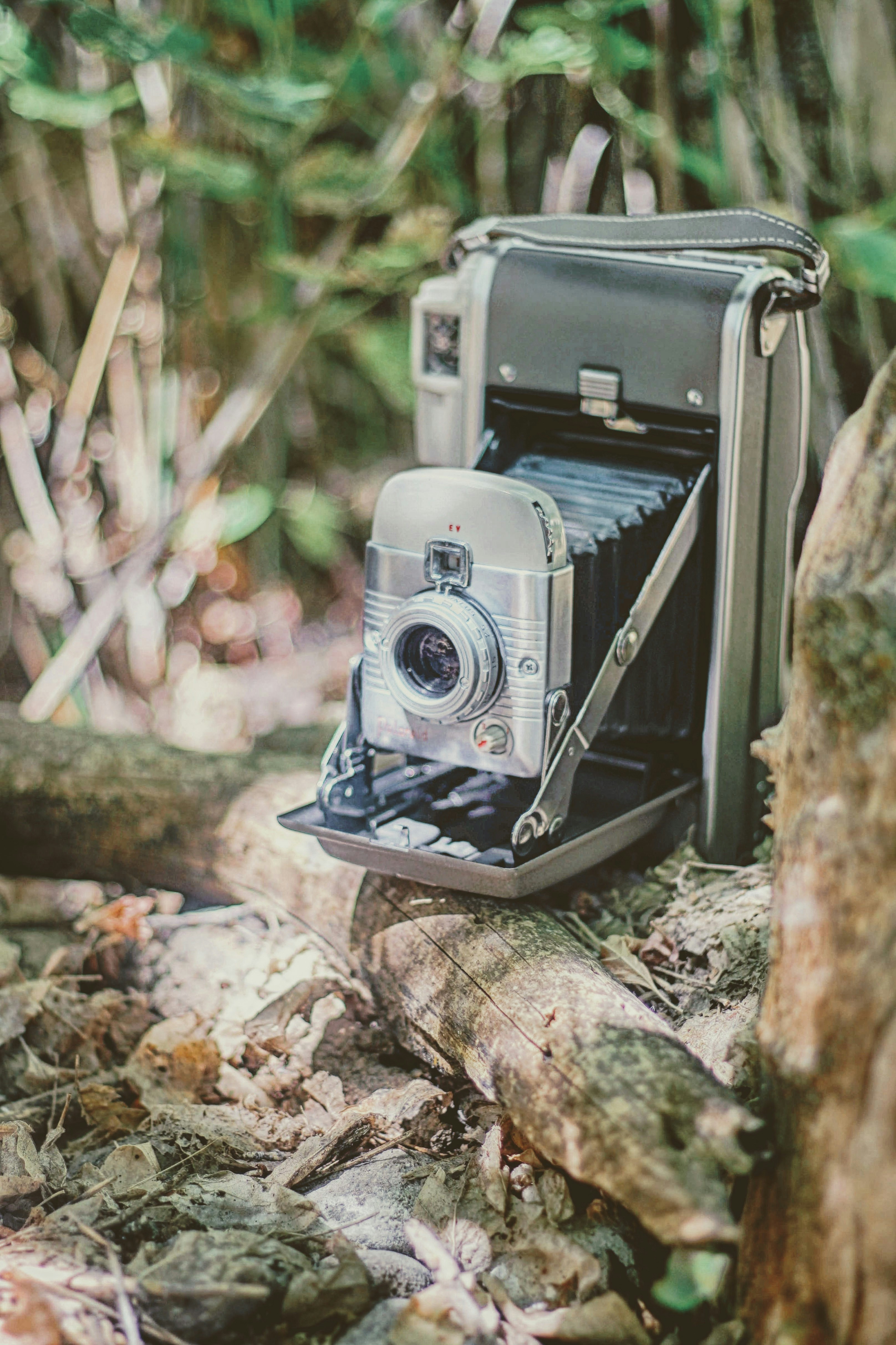 Photo by joshua_hoehne