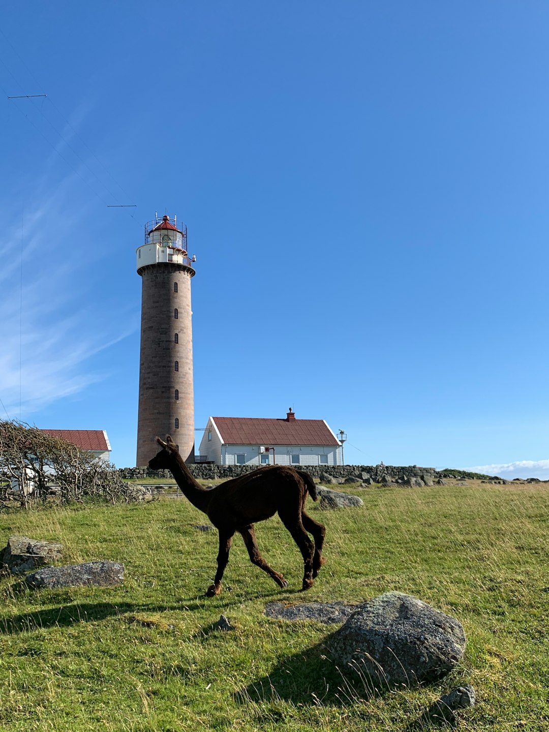 travelers stories about Lighthouse in Fyrveien 70, Norway