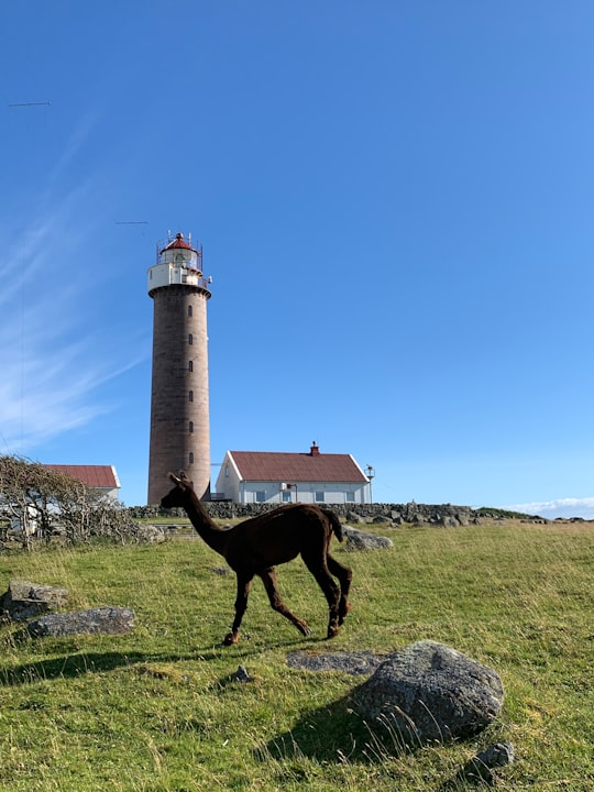 Lista Lighthouse / Visitor Center things to do in Hauge i Dalane