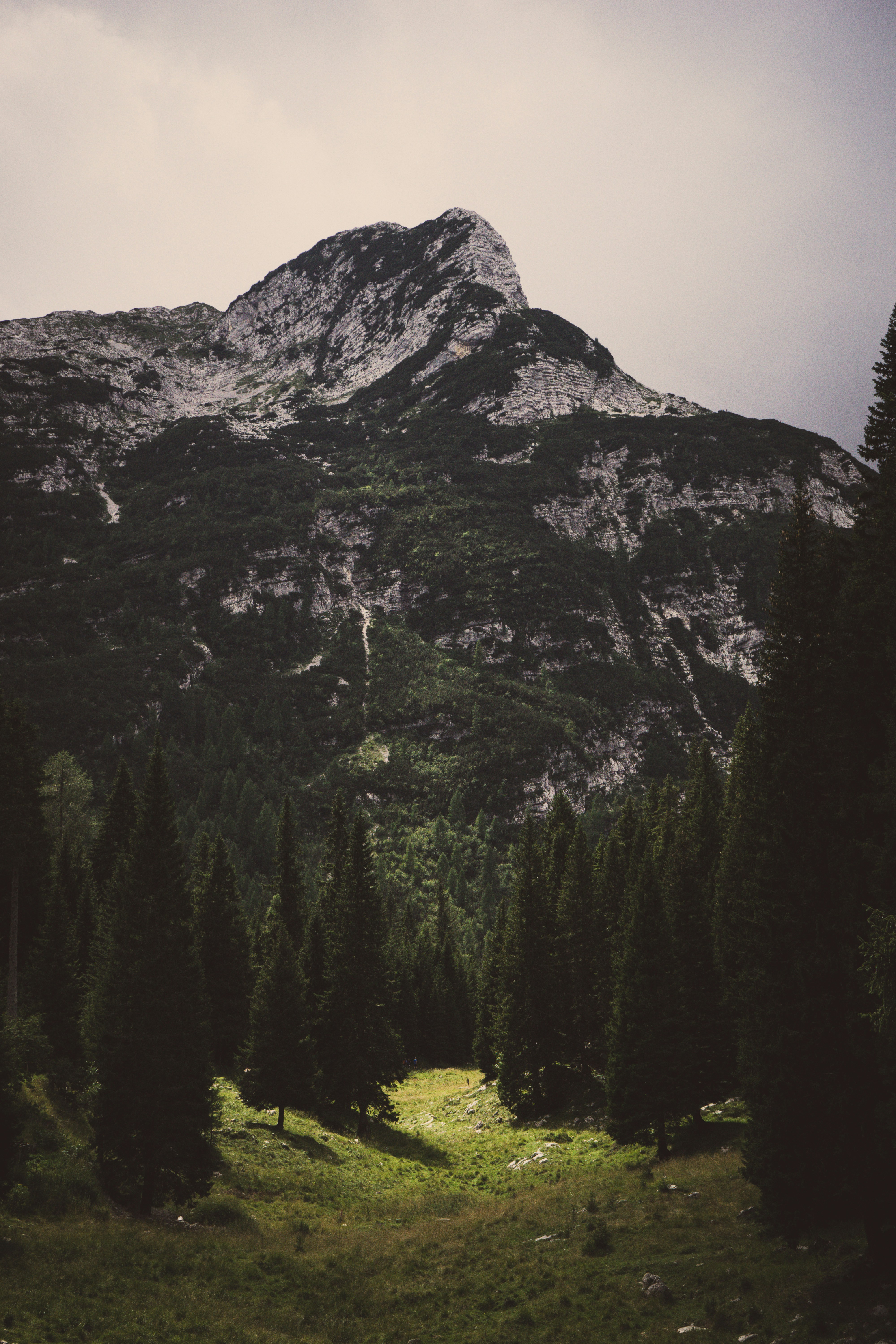 Photo by theverticalstory