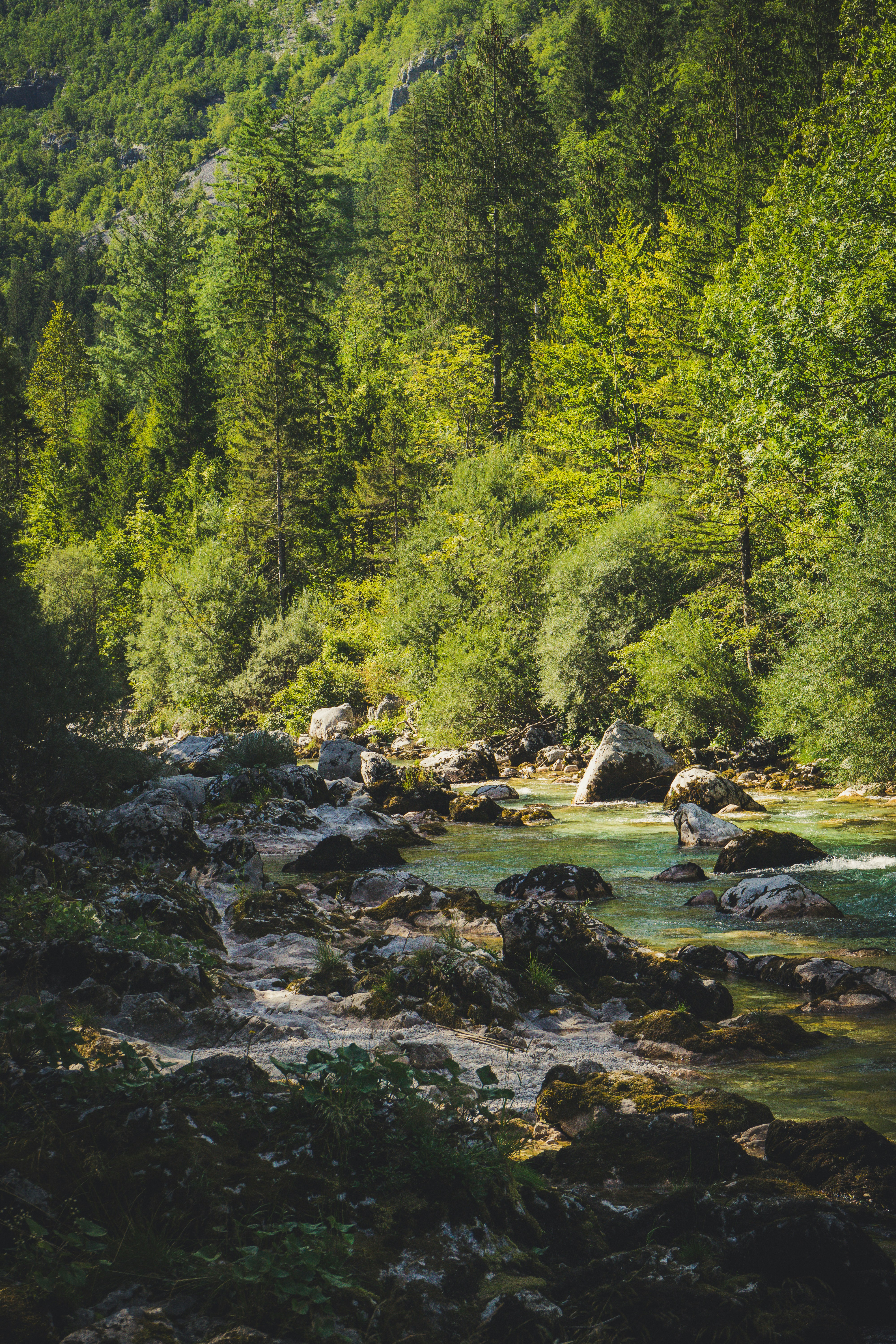 Photo by theverticalstory