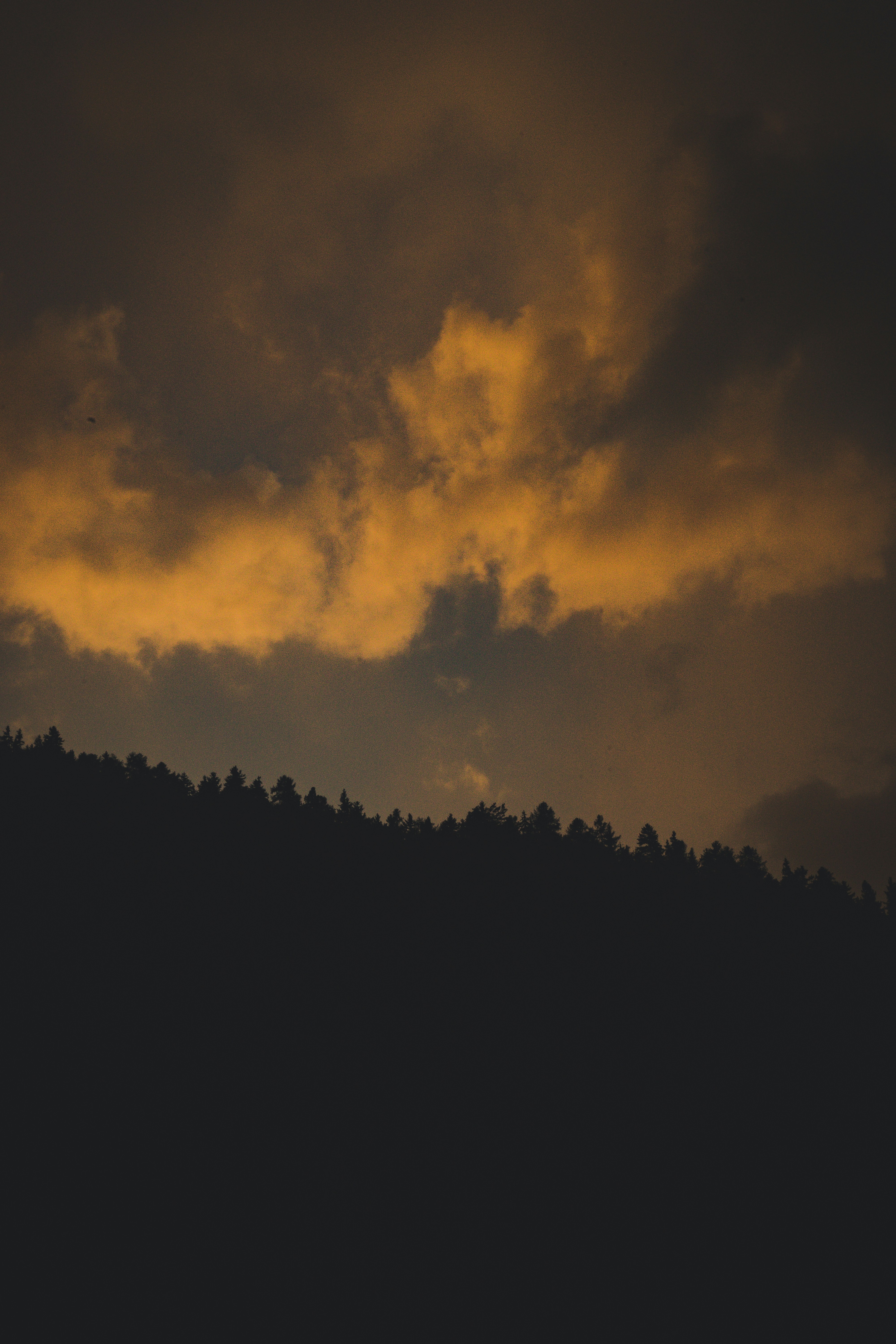 Photo by theverticalstory