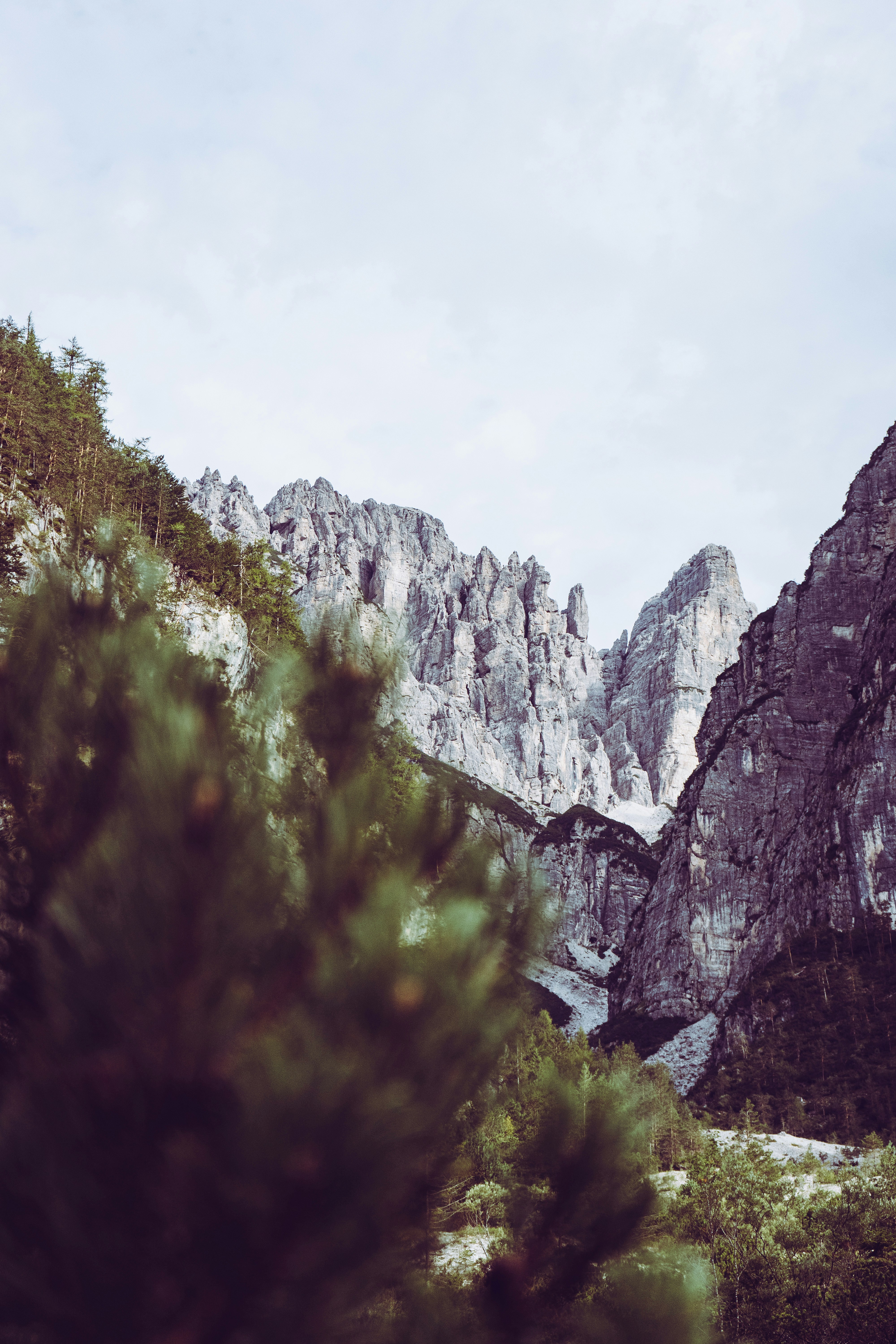 Photo by theverticalstory