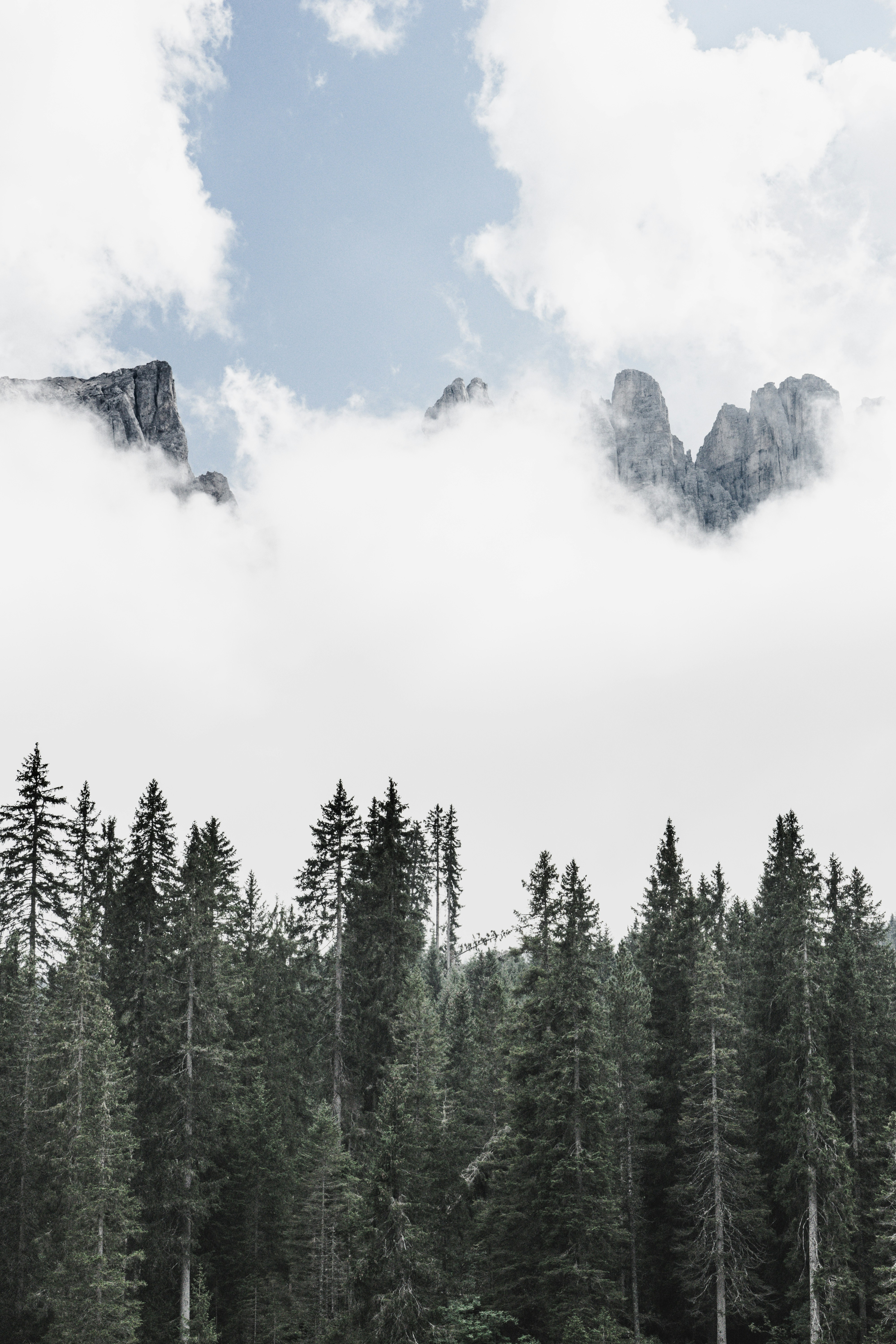 Photo by theverticalstory