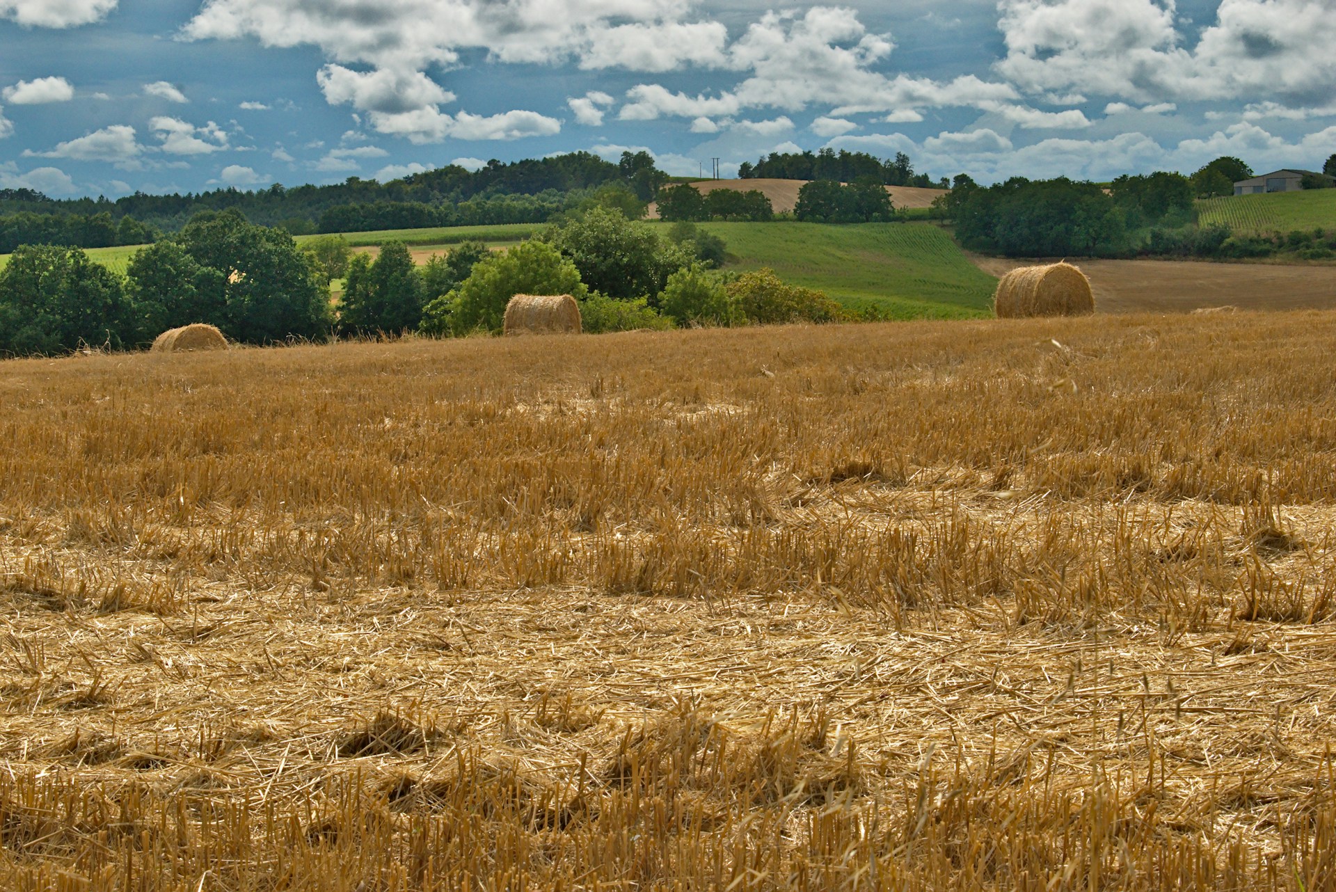 a field of hay with bales of hay in the foreground