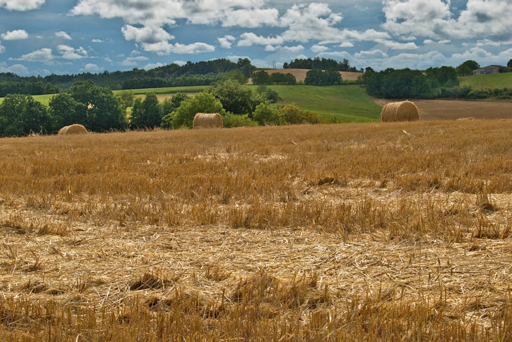 a field of hay with bales of hay in the foreground