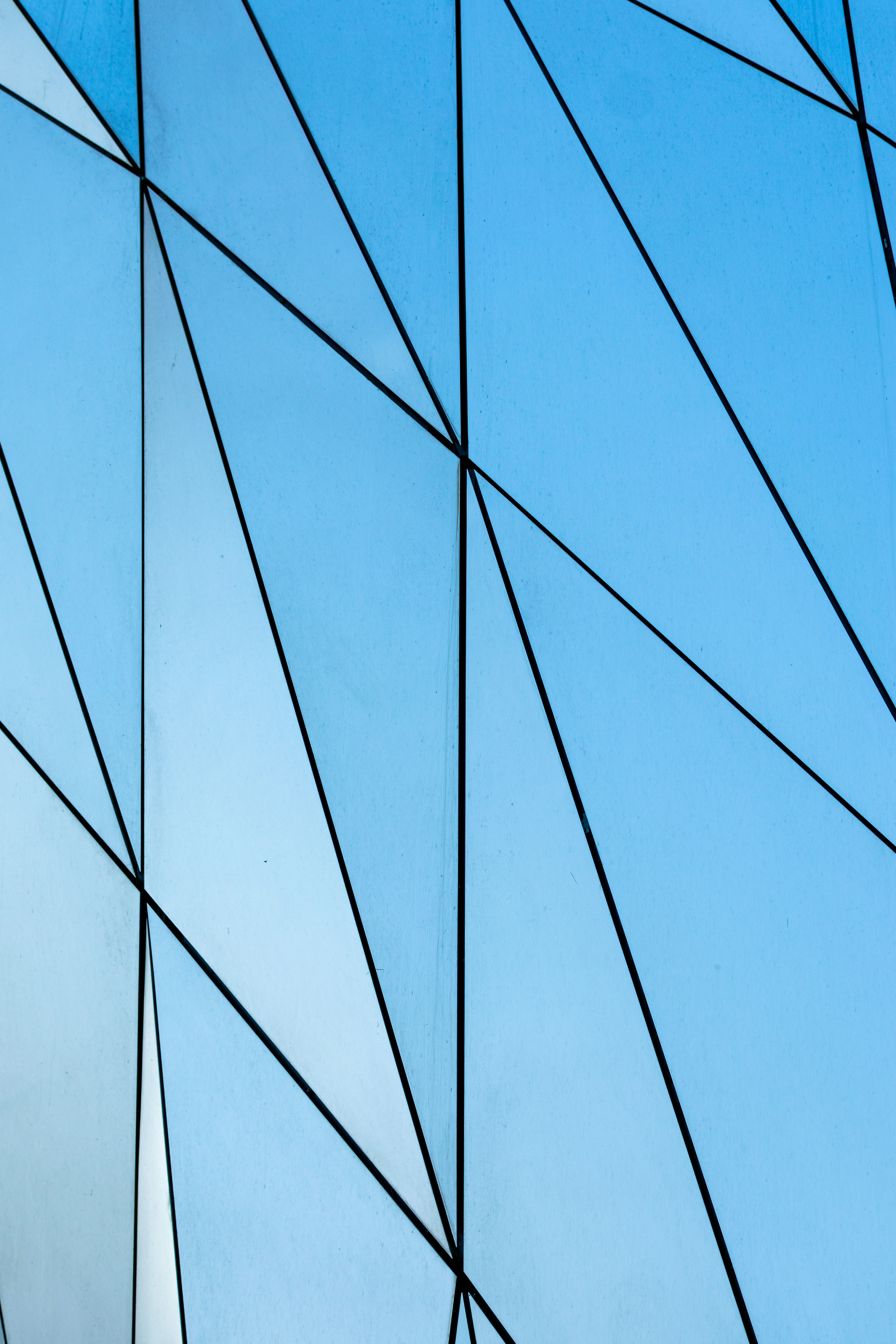 Photo by bosco_shots