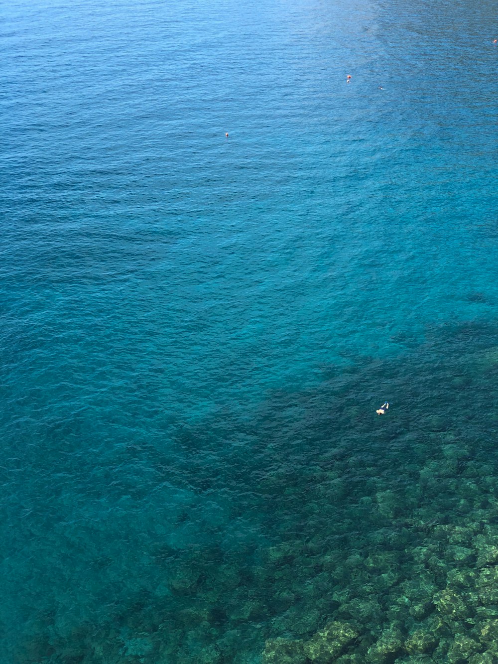 foto aerea dell'oceano durante il giorno