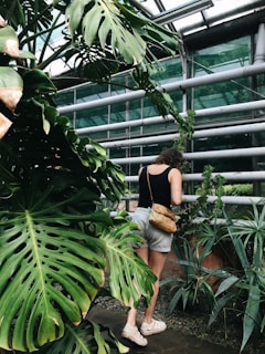 A person stands in a lush greenhouse surrounded by large green leaves and various tropical plants. They are wearing a black top, light shorts, and light-colored shoes, with a tan bag slung over their shoulder. The structure has metal beams and glass panels, allowing natural light to filter through, highlighting the vibrant foliage.