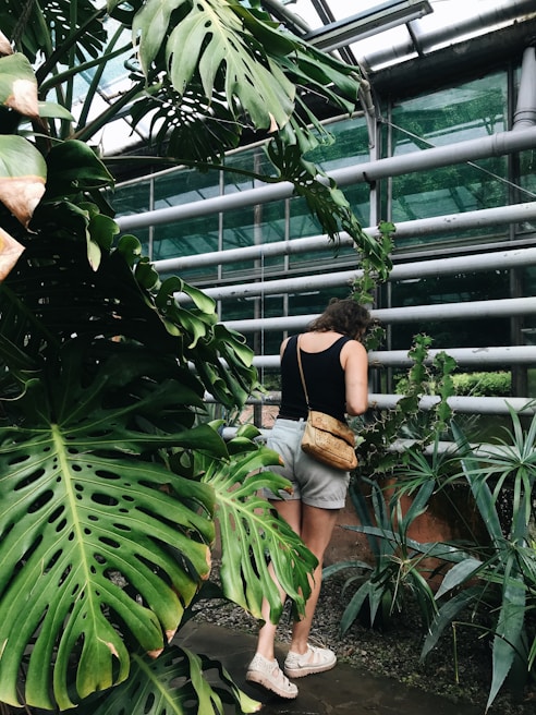 A person stands in a lush greenhouse surrounded by large green leaves and various tropical plants. They are wearing a black top, light shorts, and light-colored shoes, with a tan bag slung over their shoulder. The structure has metal beams and glass panels, allowing natural light to filter through, highlighting the vibrant foliage.