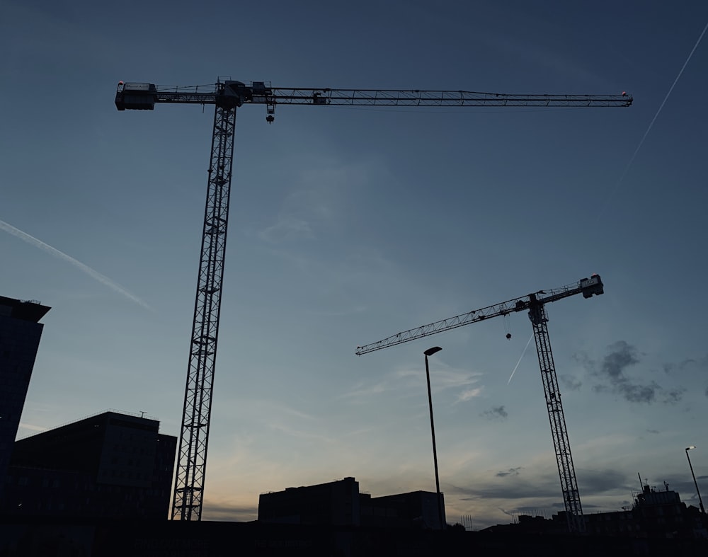 silhouette of cranes