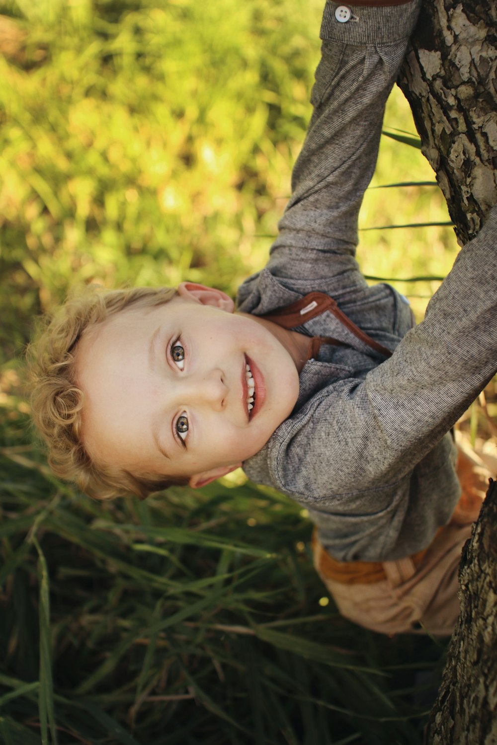 girl on tree