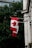 A Canadian flag with a red maple leaf prominently displayed, hanging from a building with architectural details. The background is filled with lush green trees, providing a contrast to the bright colors of the flag. The presence of urban elements such as windows and street lamps indicates a city setting.