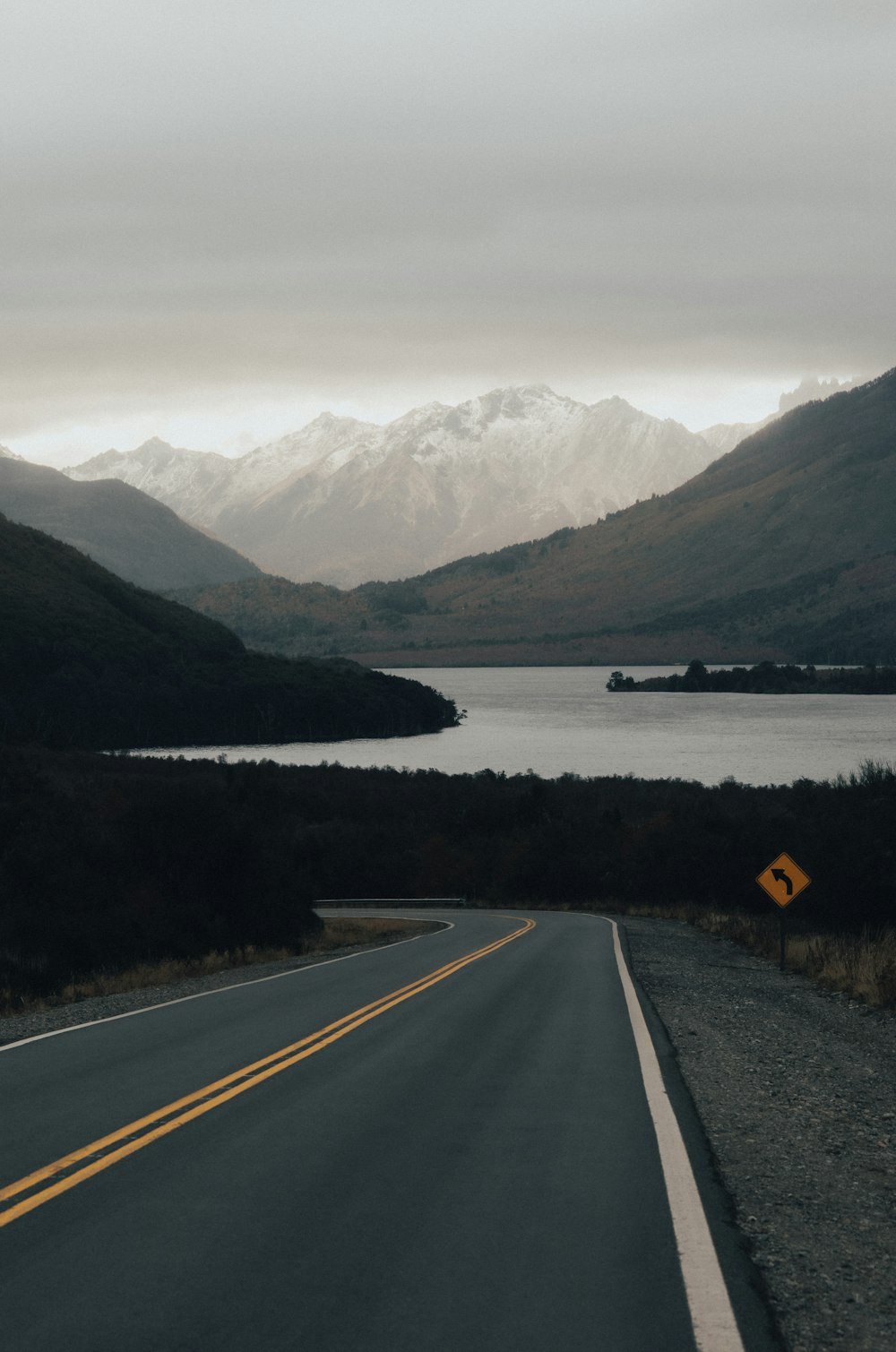 road near forest