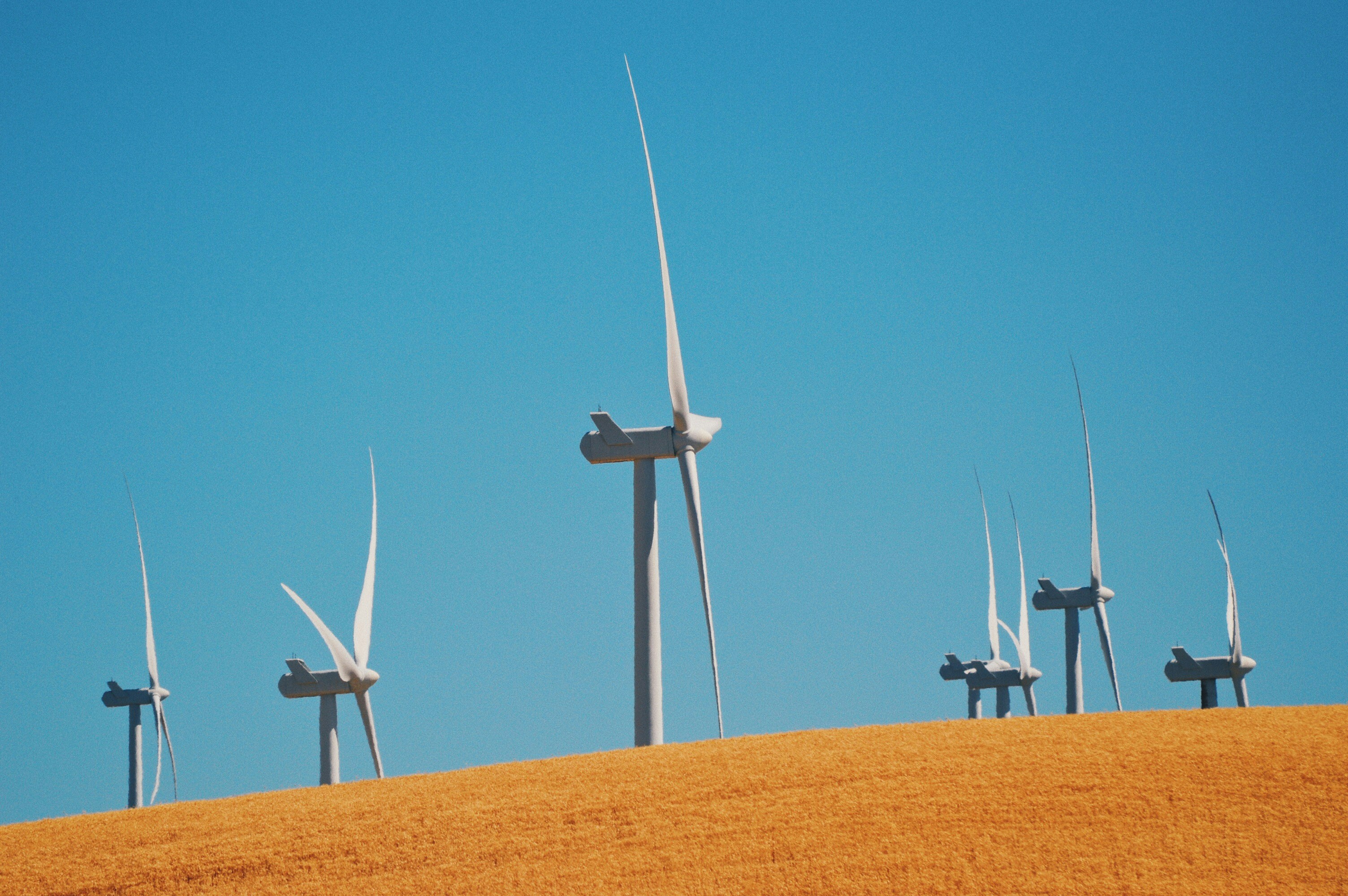 たくさんの風力発電機が並んでいるイメージ