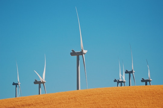 wind turbines in a field