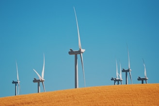 wind turbines in a field