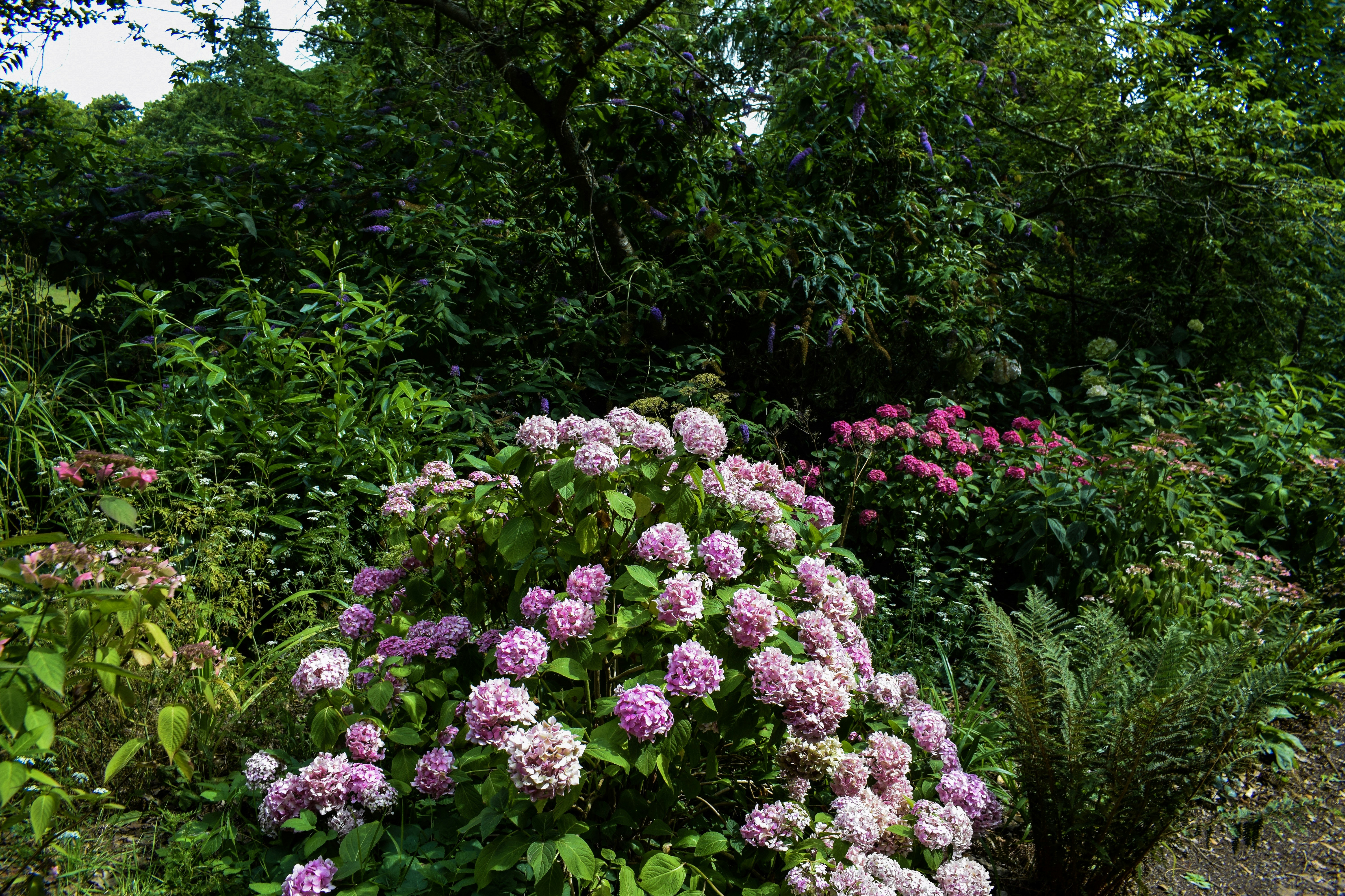 Photo by taylor_cowling_photos