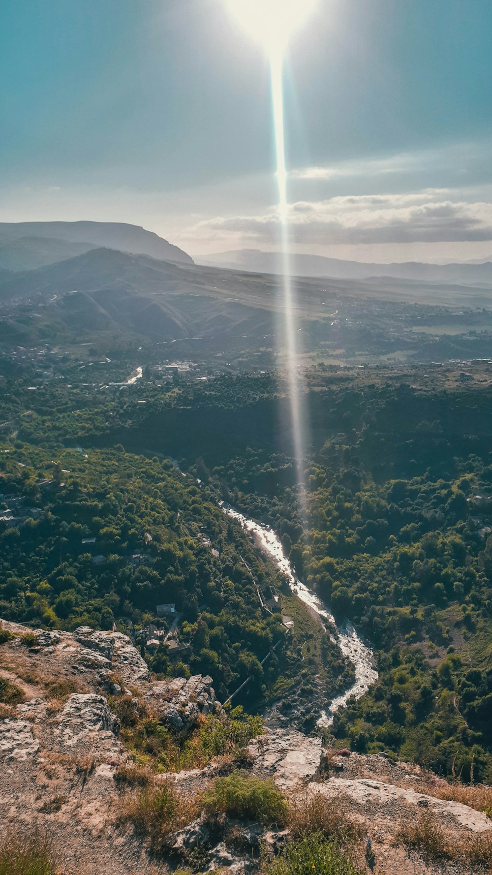 aerial view of trees during daytime