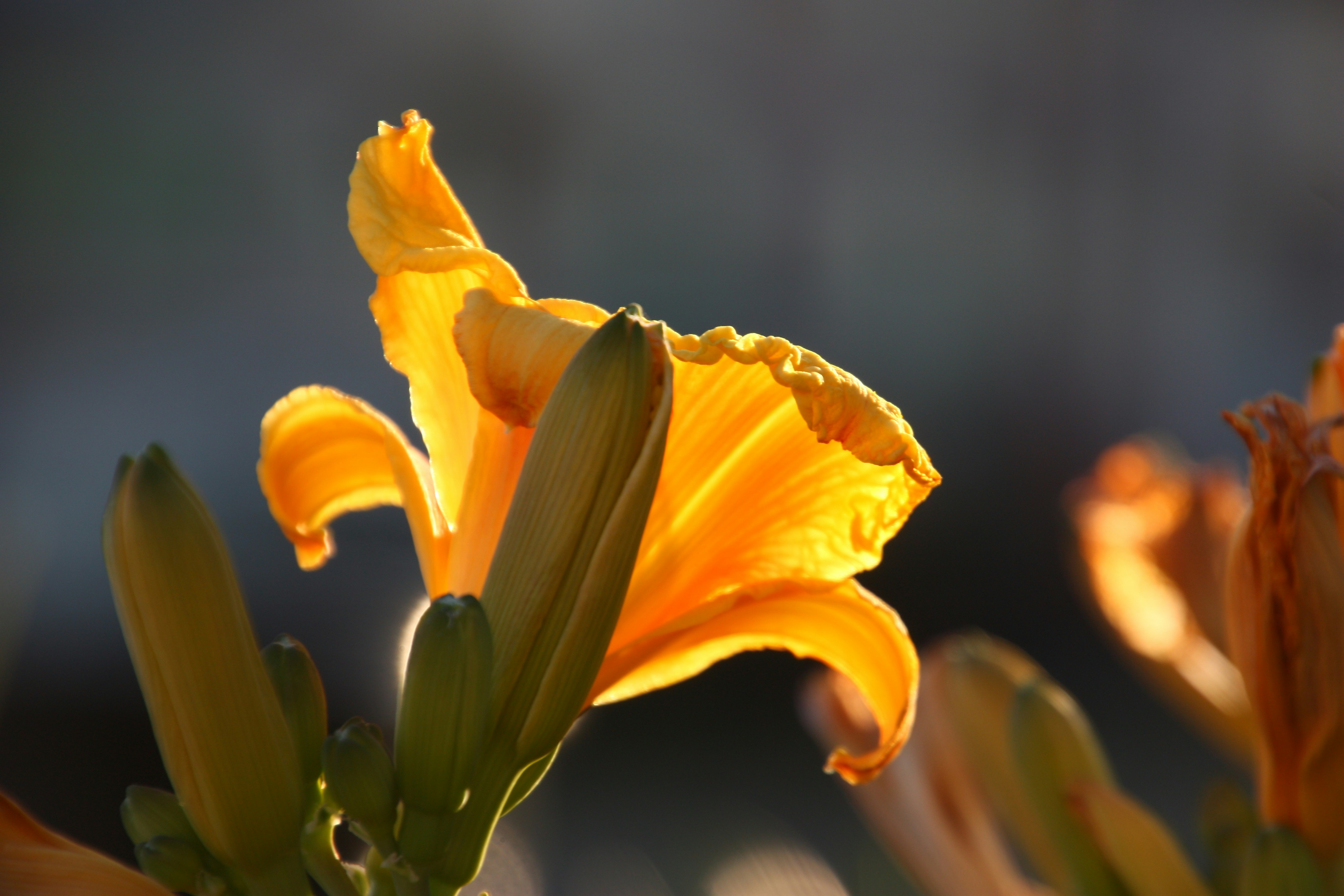 Photo by anthonyaird