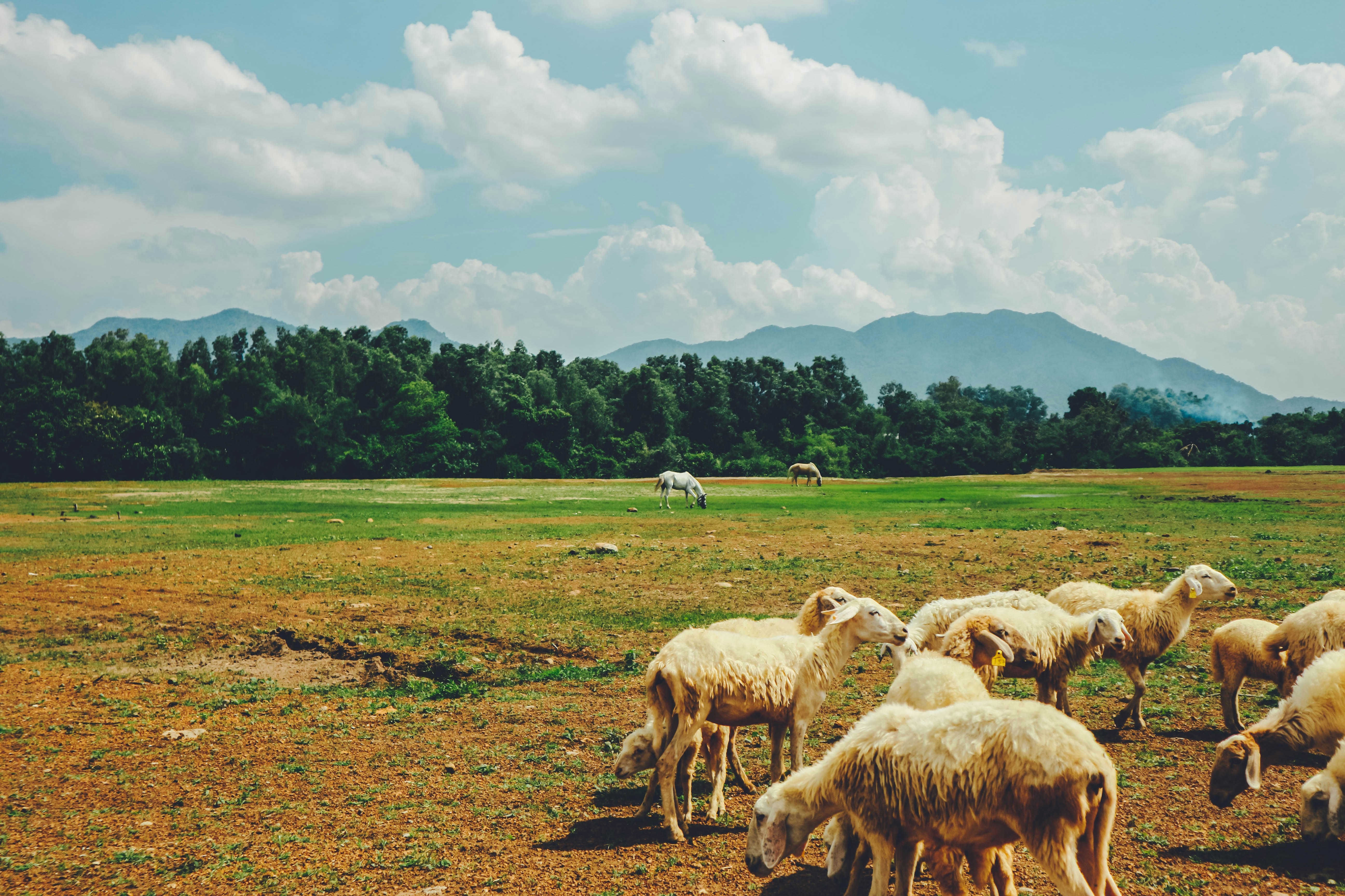 Photo by oanhchuplinhtinh