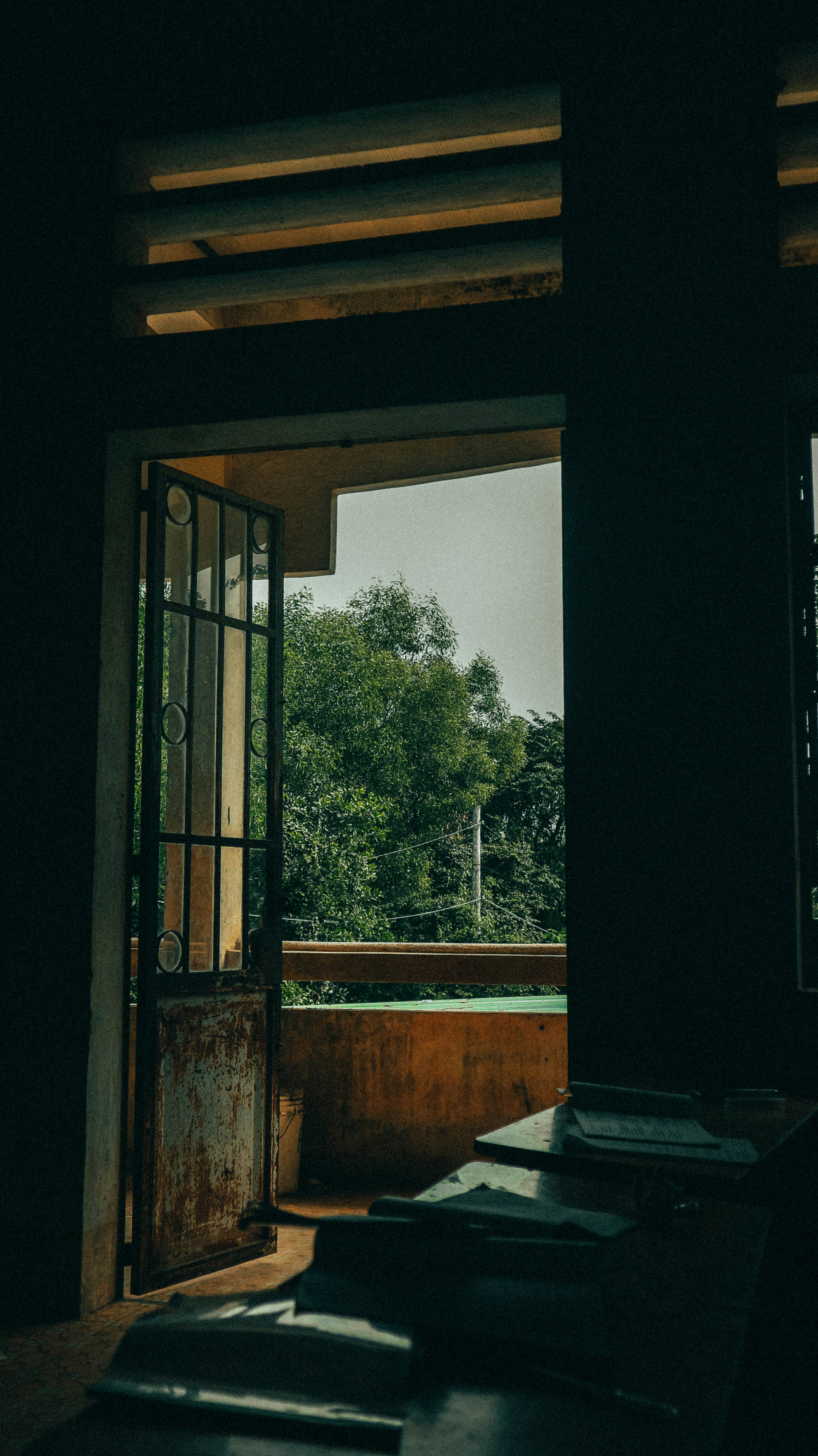 Photo by oanhchuplinhtinh