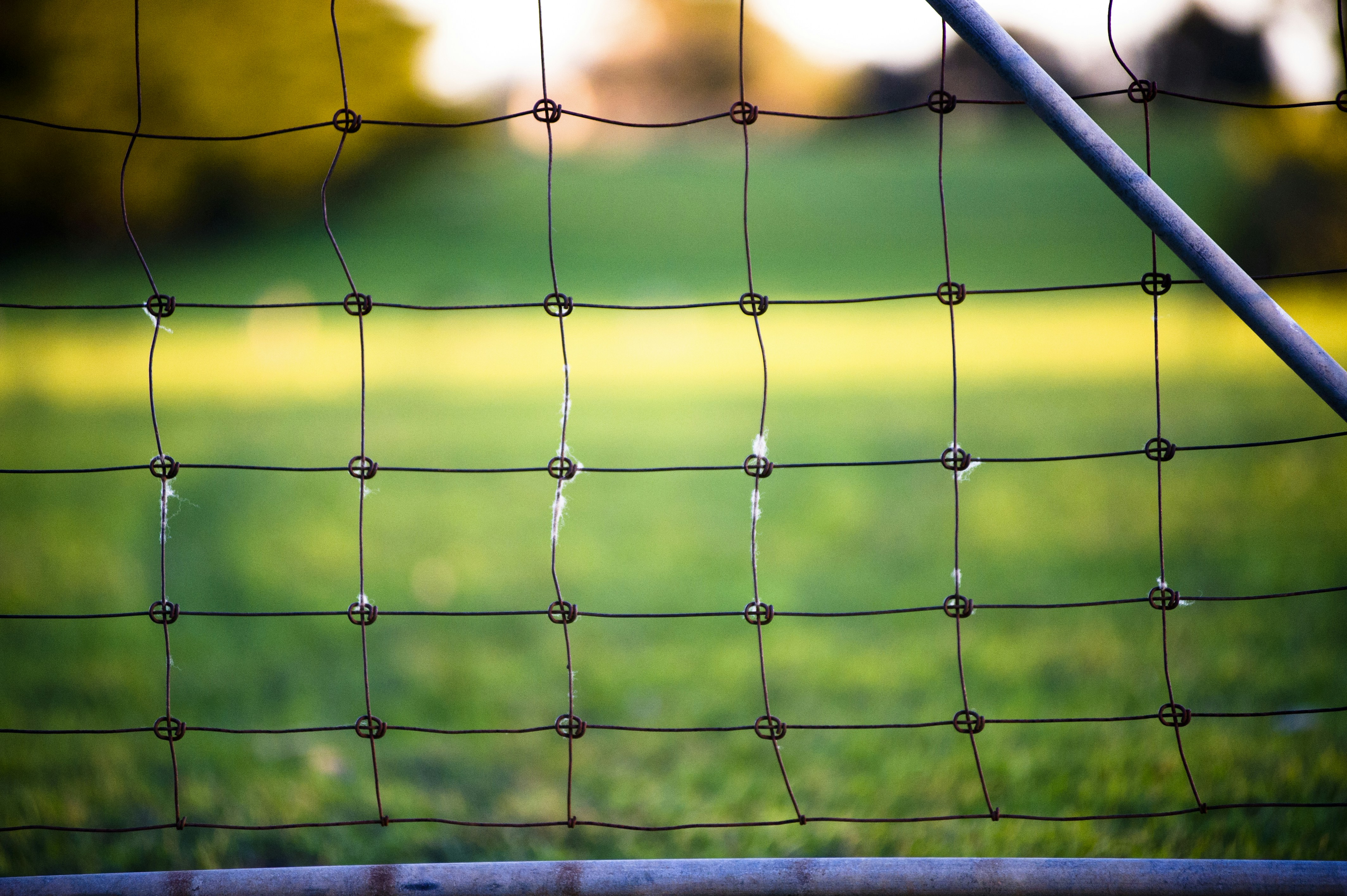 Photo by laurenhay23