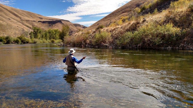 Angler in a blue long-sleeve shirt, fishing vest and white sun hat wading a clear, sunlit river between dry brown hills