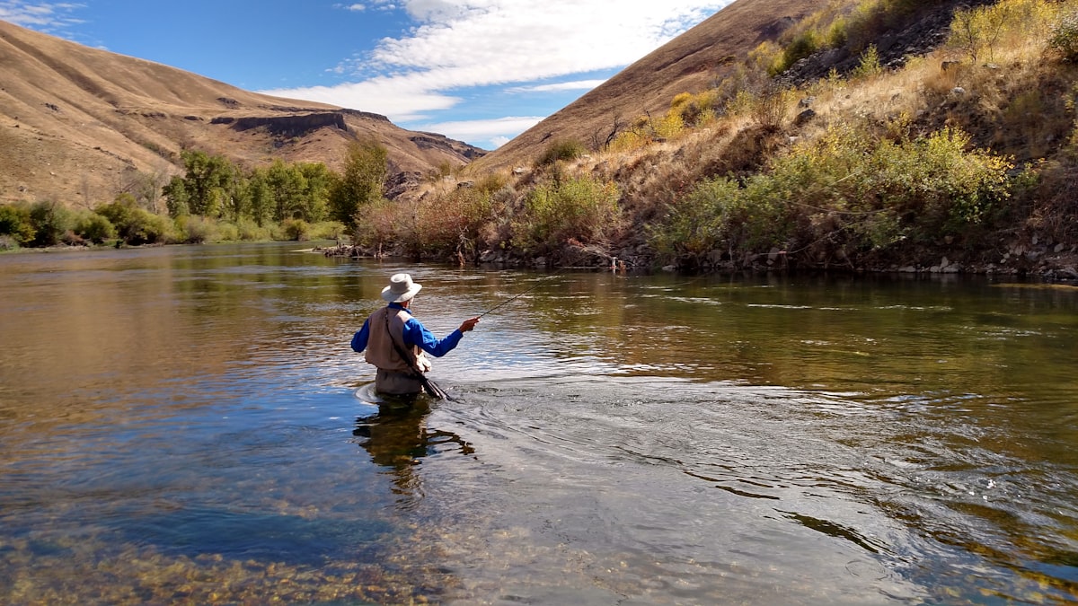 Fly angler wading in river without waders