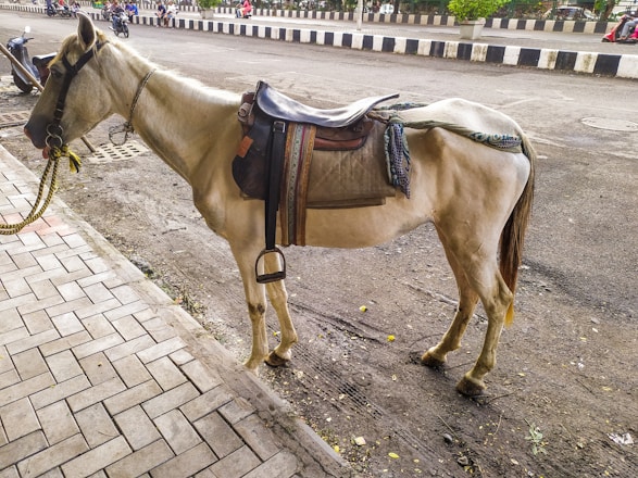 A saddled horse stands on a sidewalk next to a road, with a low wall on the opposite side. Several motorcycles and people are visible on the road in the background. The horse is equipped with a bridle and a colorful saddle. The paving stones on the sidewalk are arranged in a rectangular pattern.