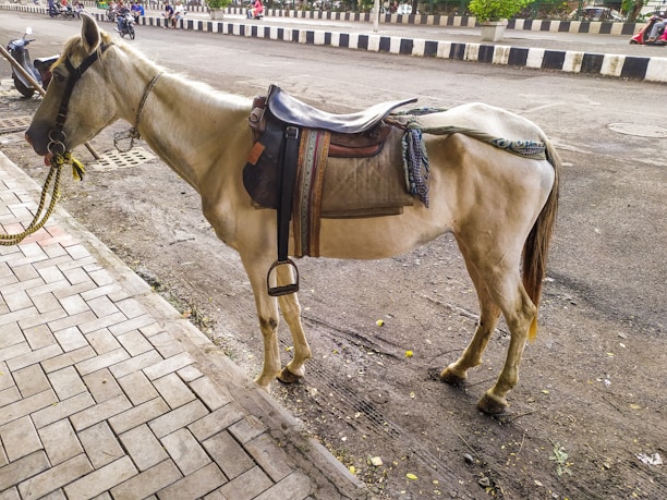 A saddled horse stands on a sidewalk next to a road, with a low wall on the opposite side. Several motorcycles and people are visible on the road in the background. The horse is equipped with a bridle and a colorful saddle. The paving stones on the sidewalk are arranged in a rectangular pattern.