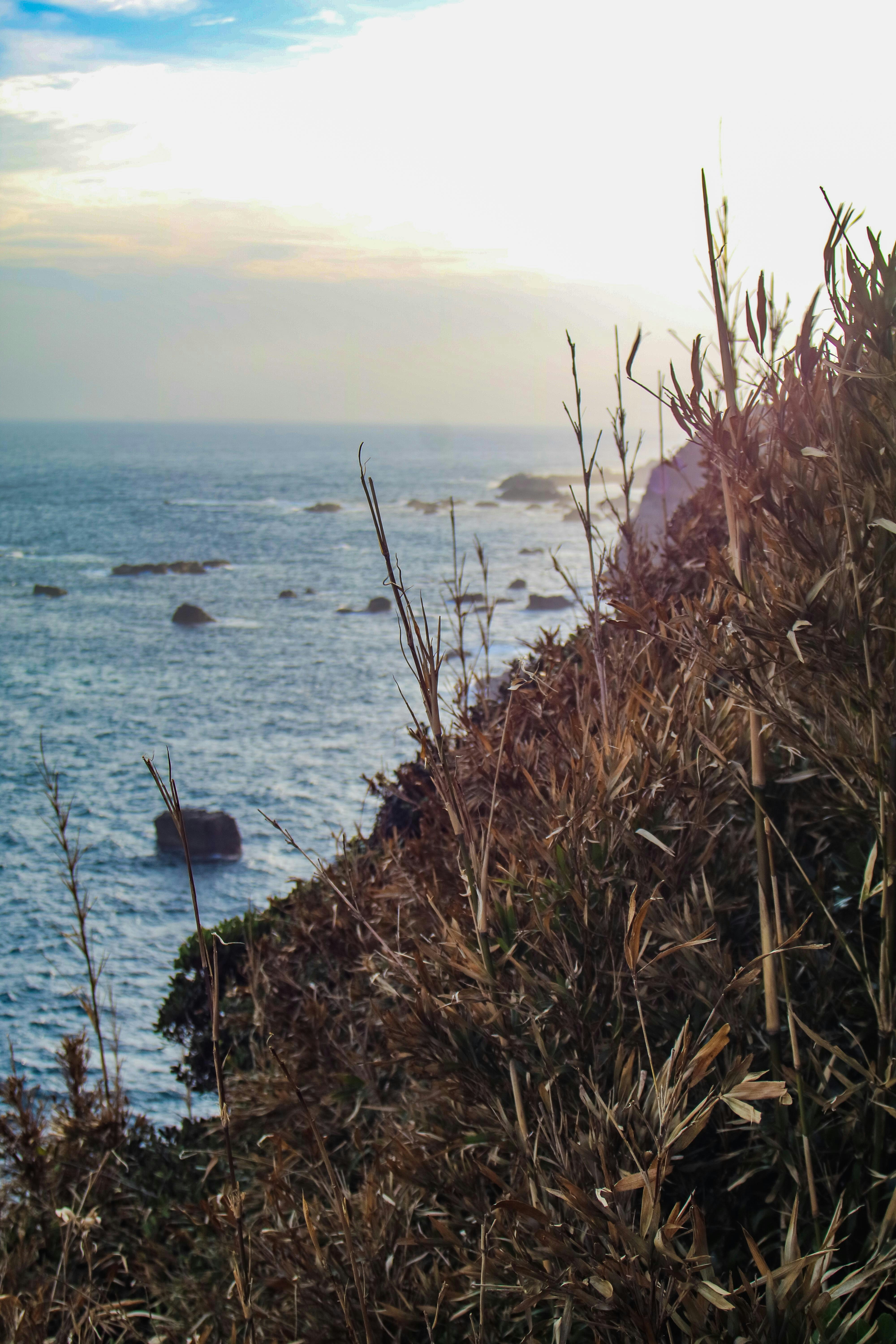 Photo by tomokyo