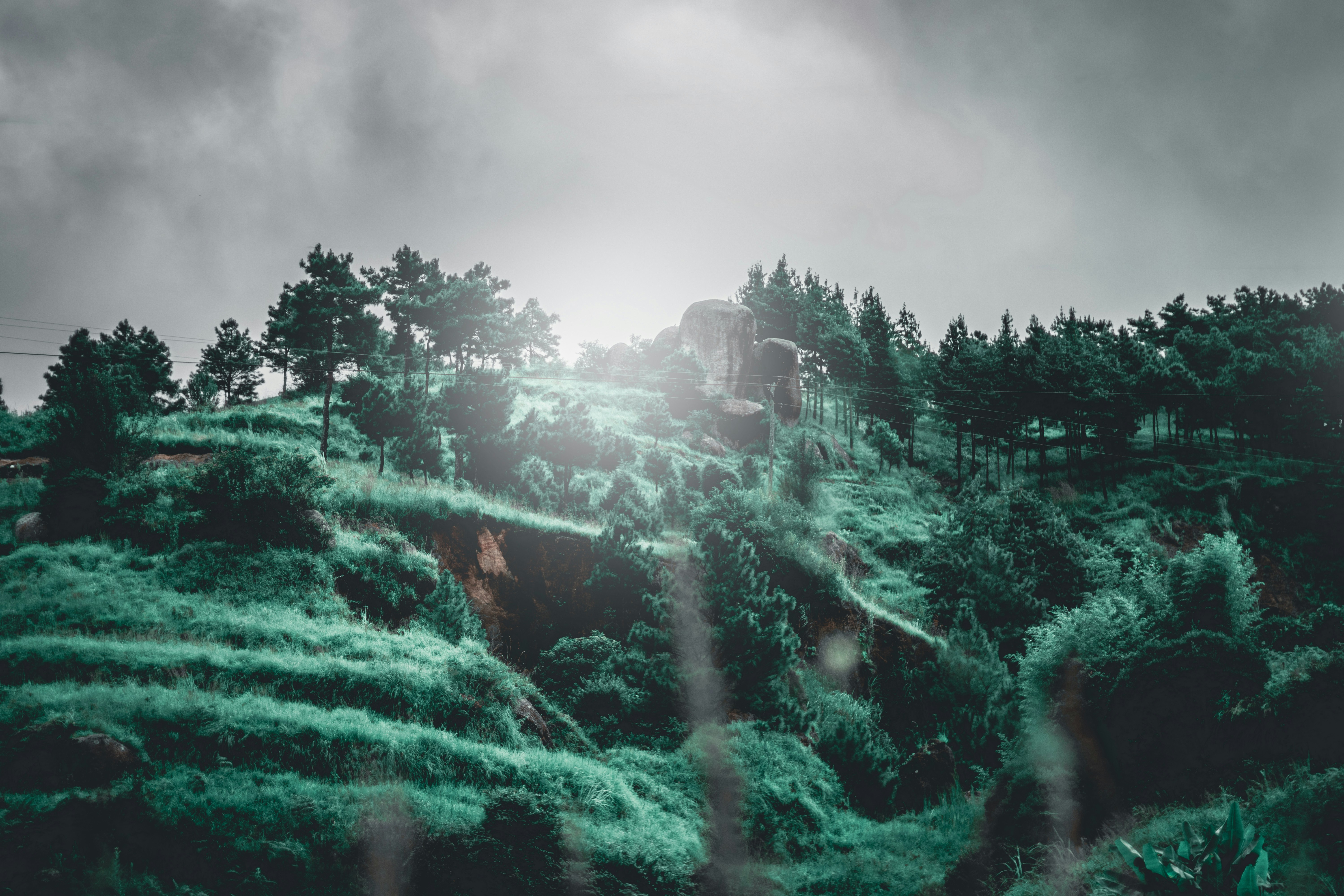 Photo by devasangbam