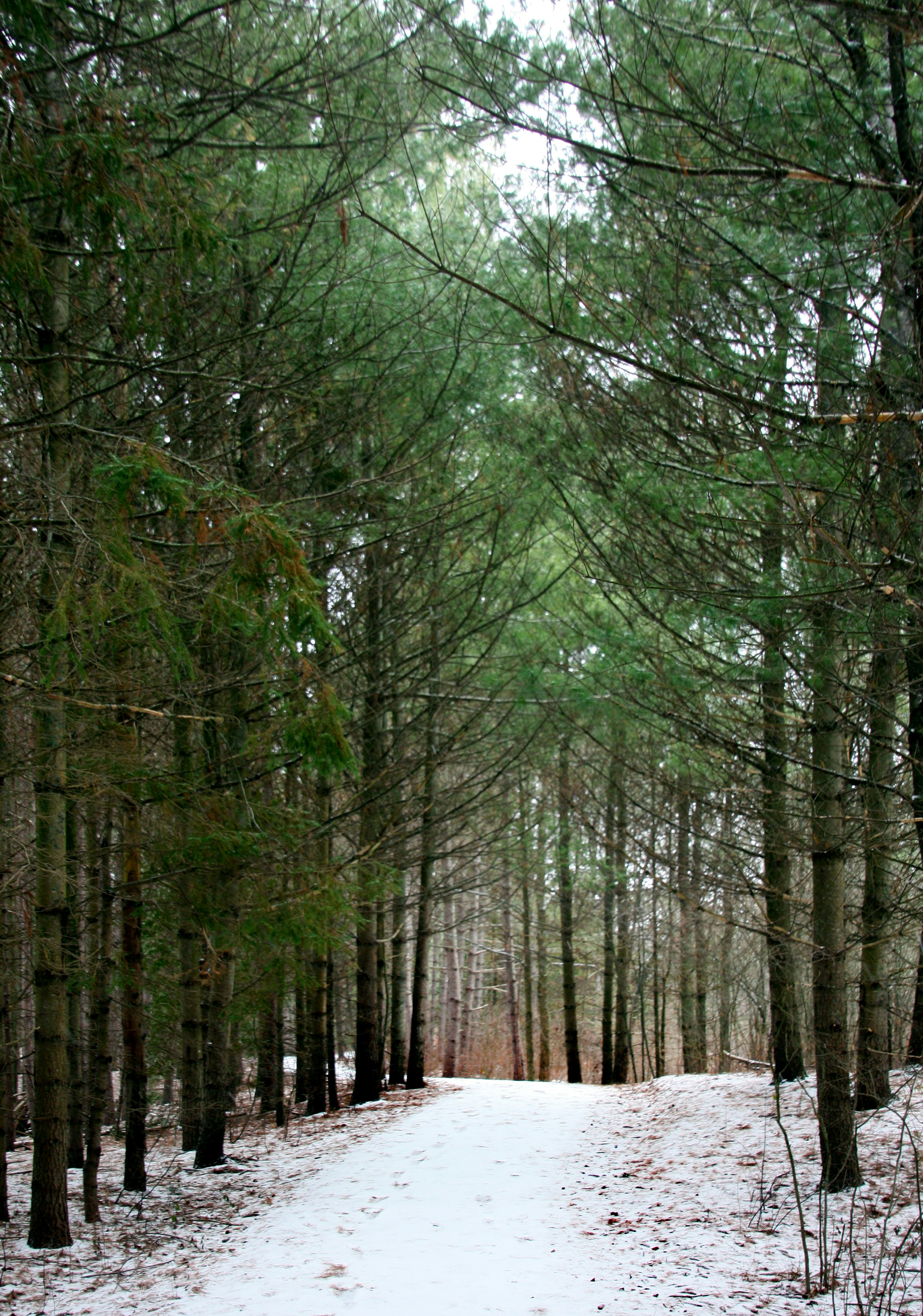 Photo by anthonyaird